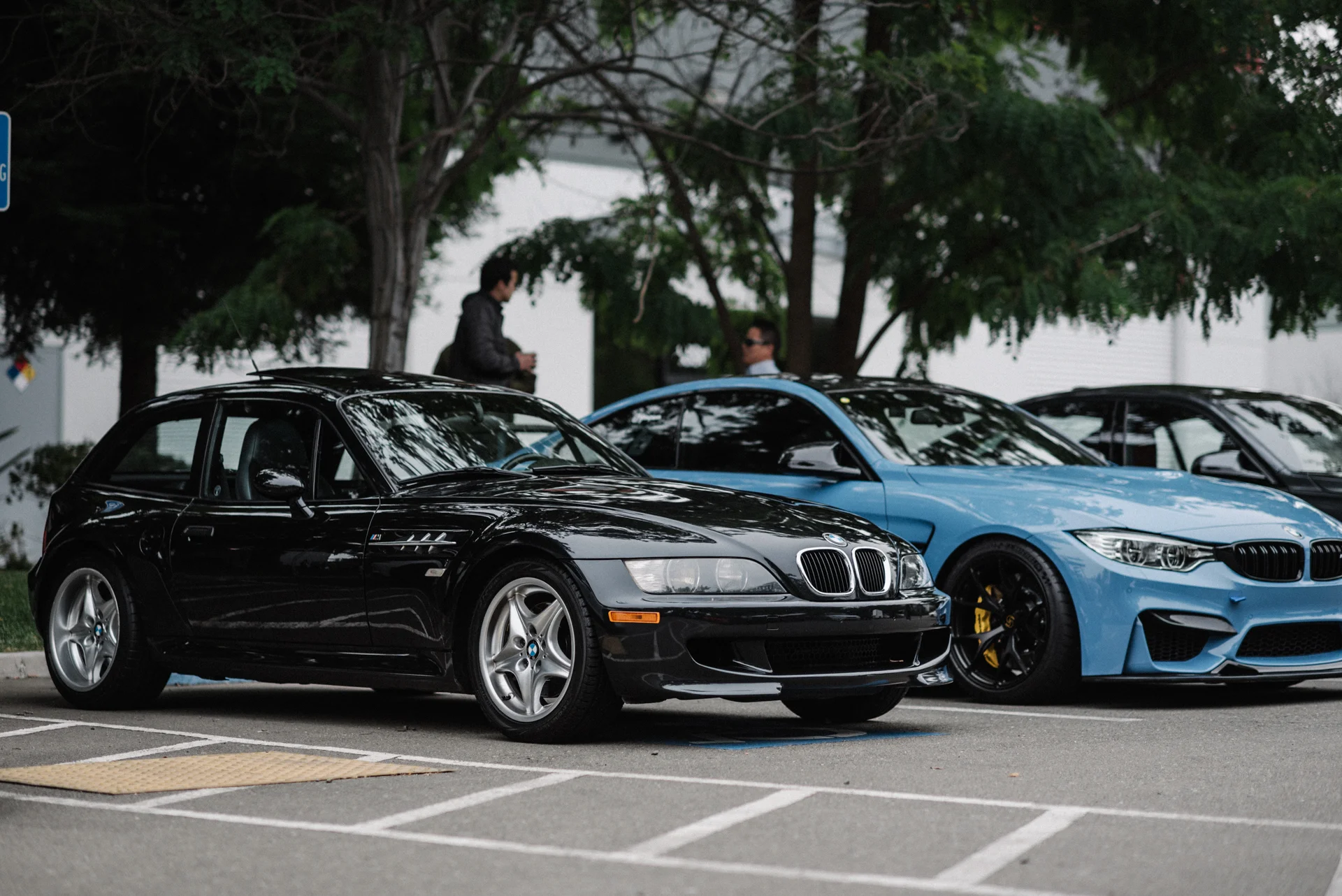 DSC_5177.jpg