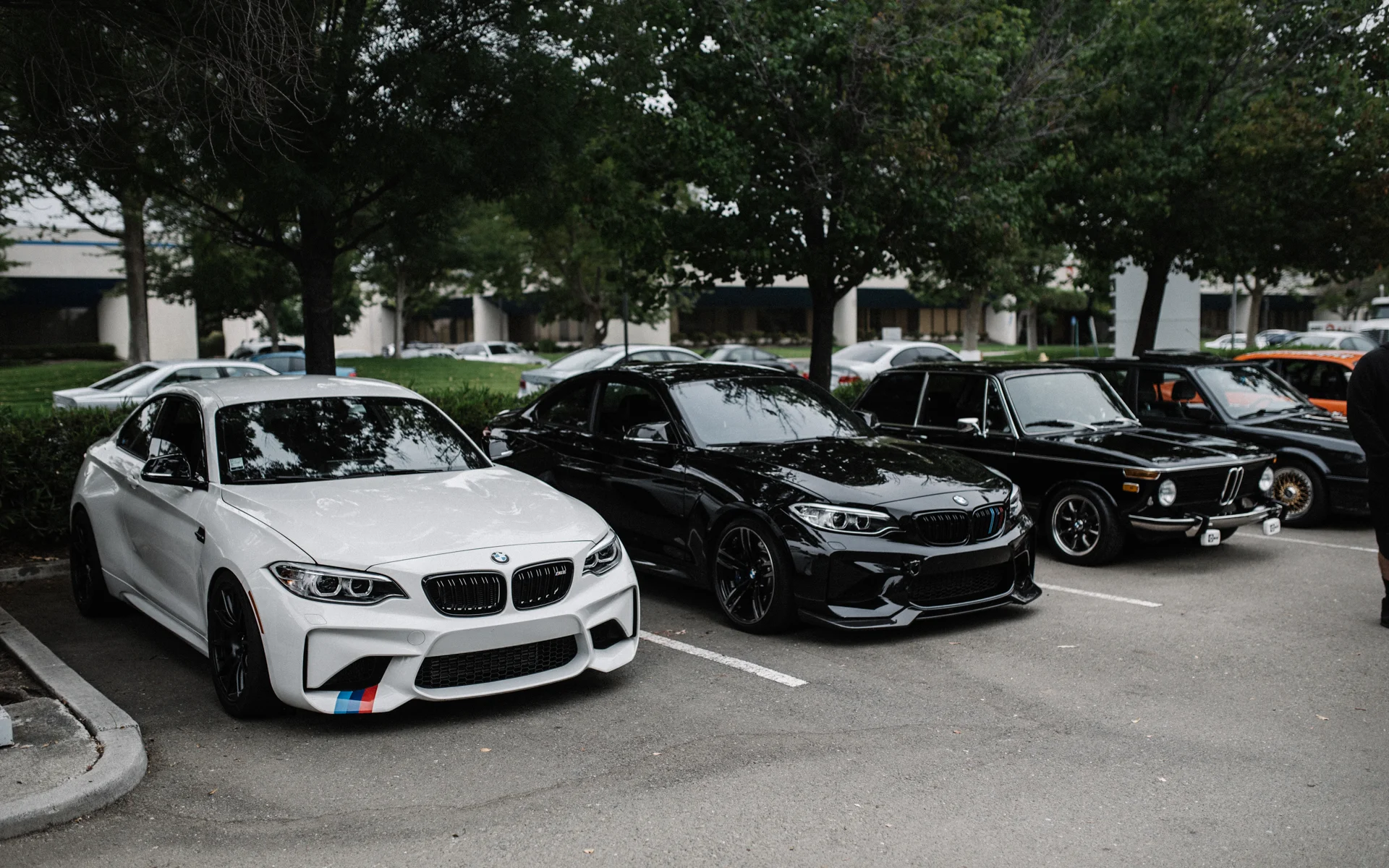 DSC_5218.jpg