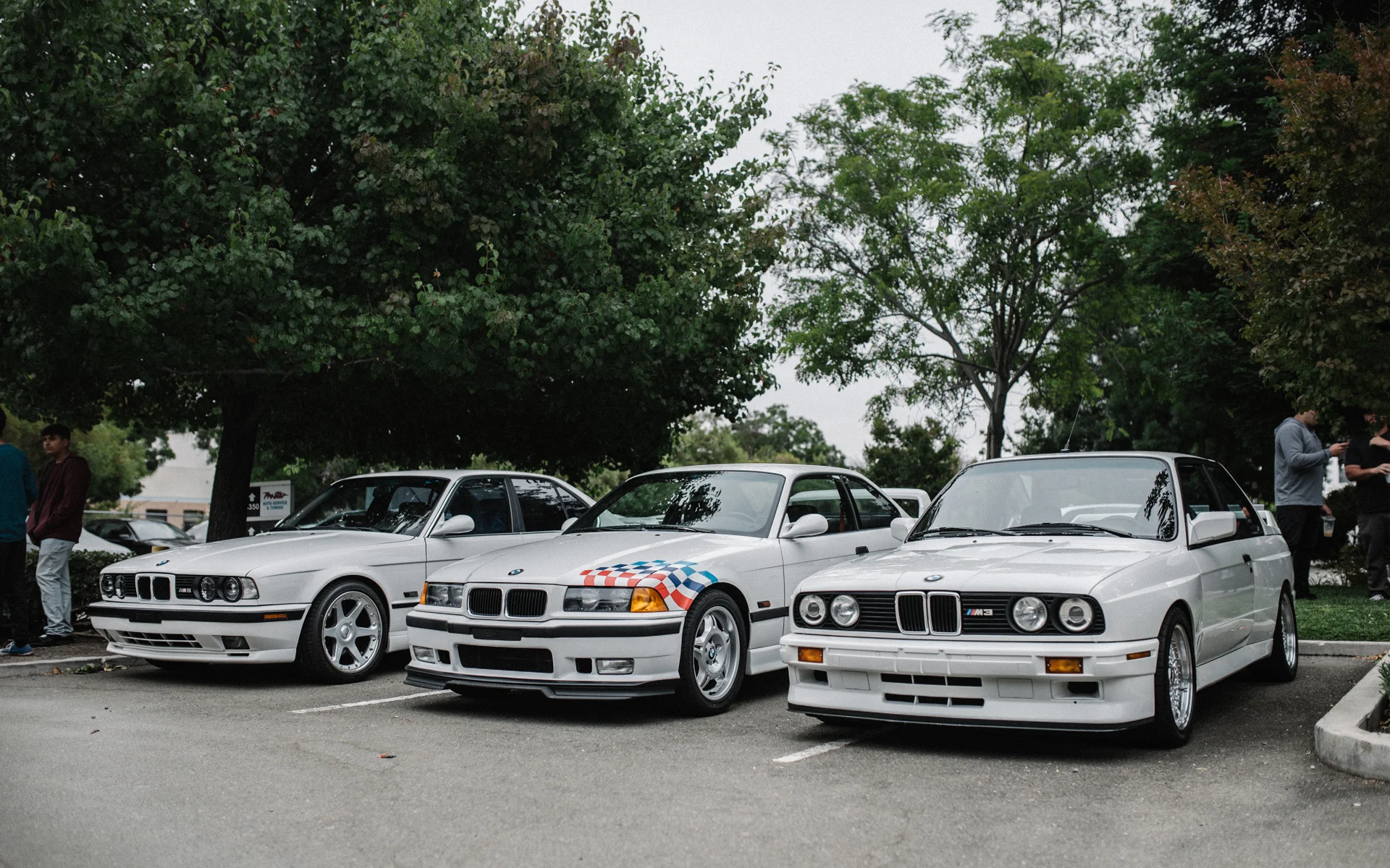DSC_5219.jpg