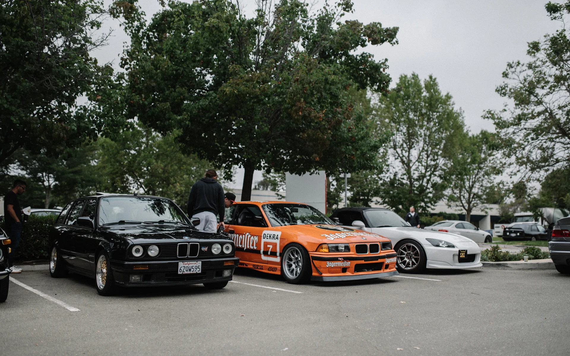 DSC_5220.jpg
