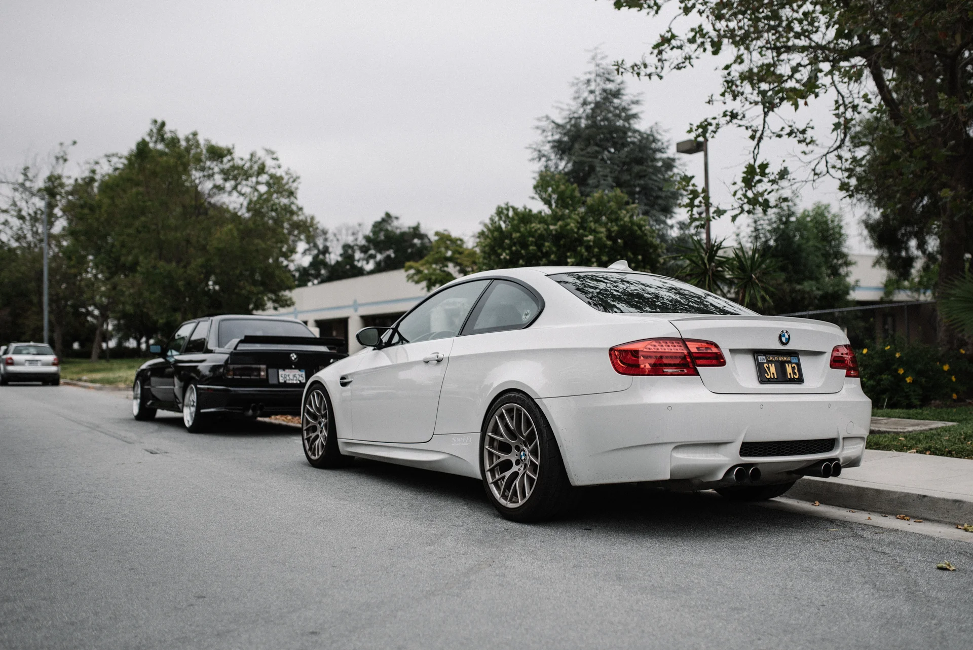 DSC_5223.jpg