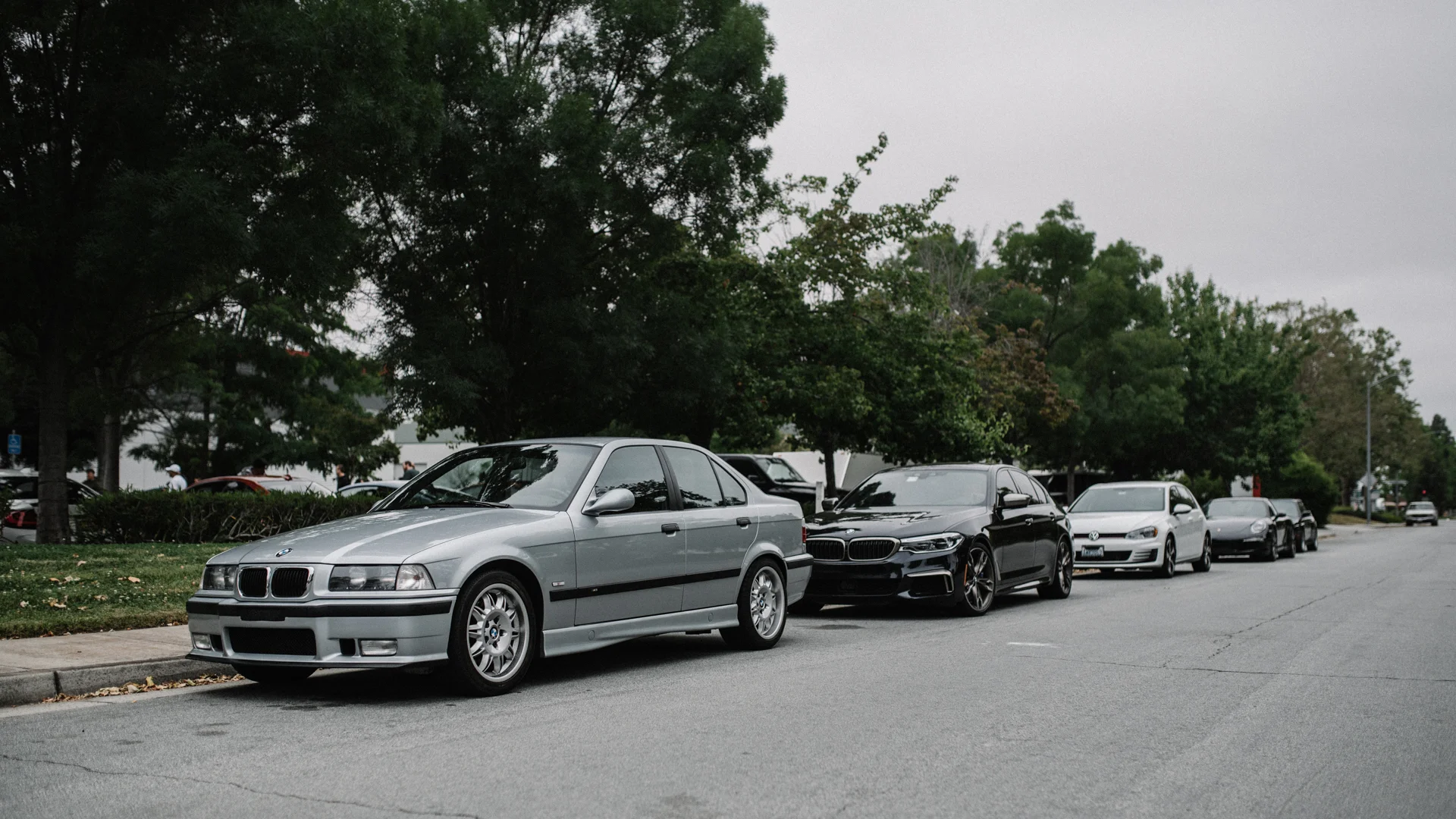 DSC_5224.jpg