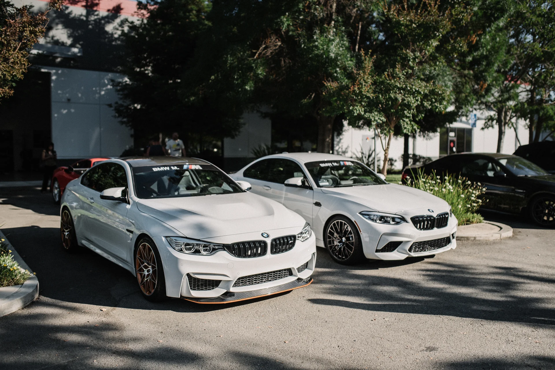 DSC_0576.jpg
