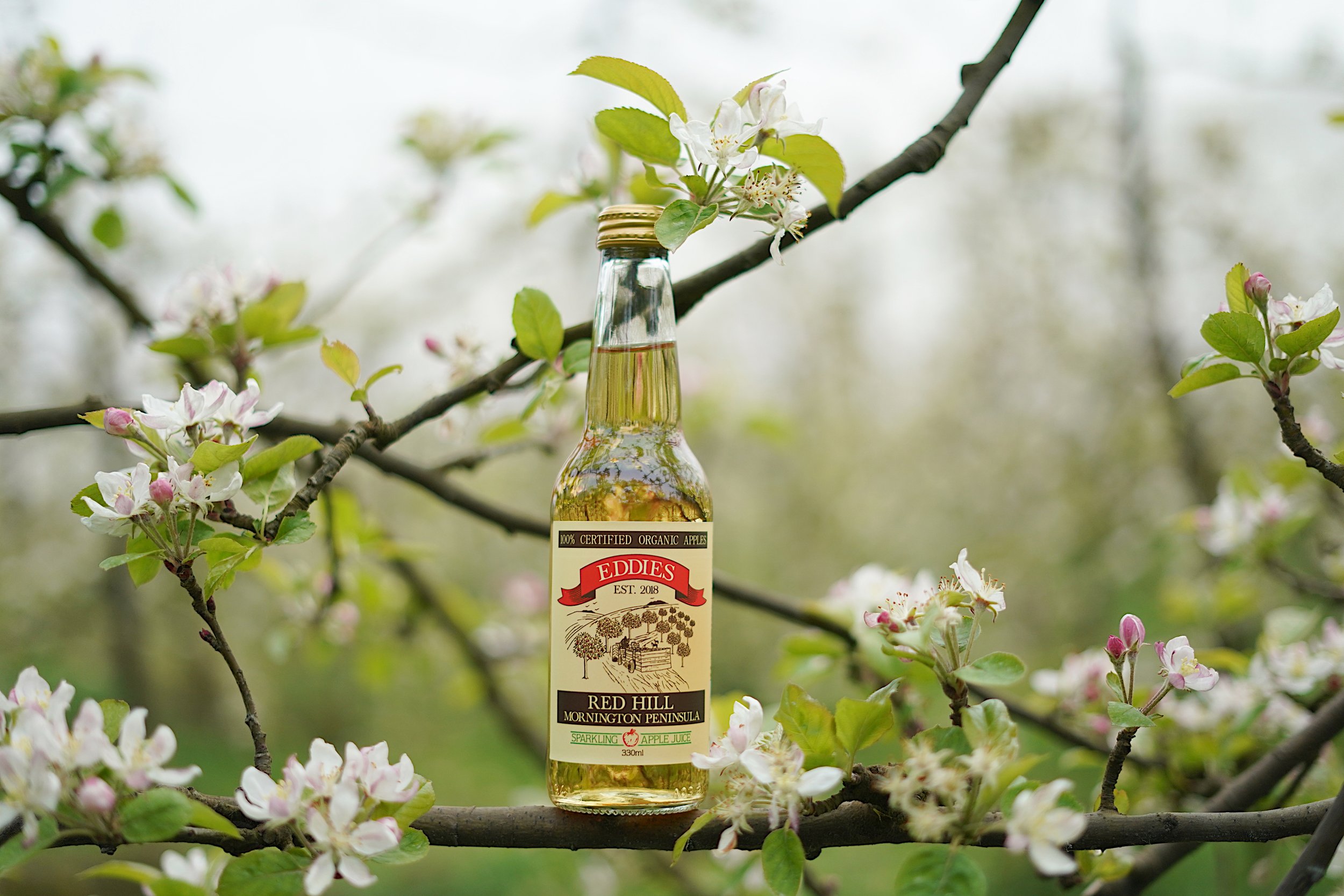 EDDIES_ORGANIC_CIDER 21.jpg