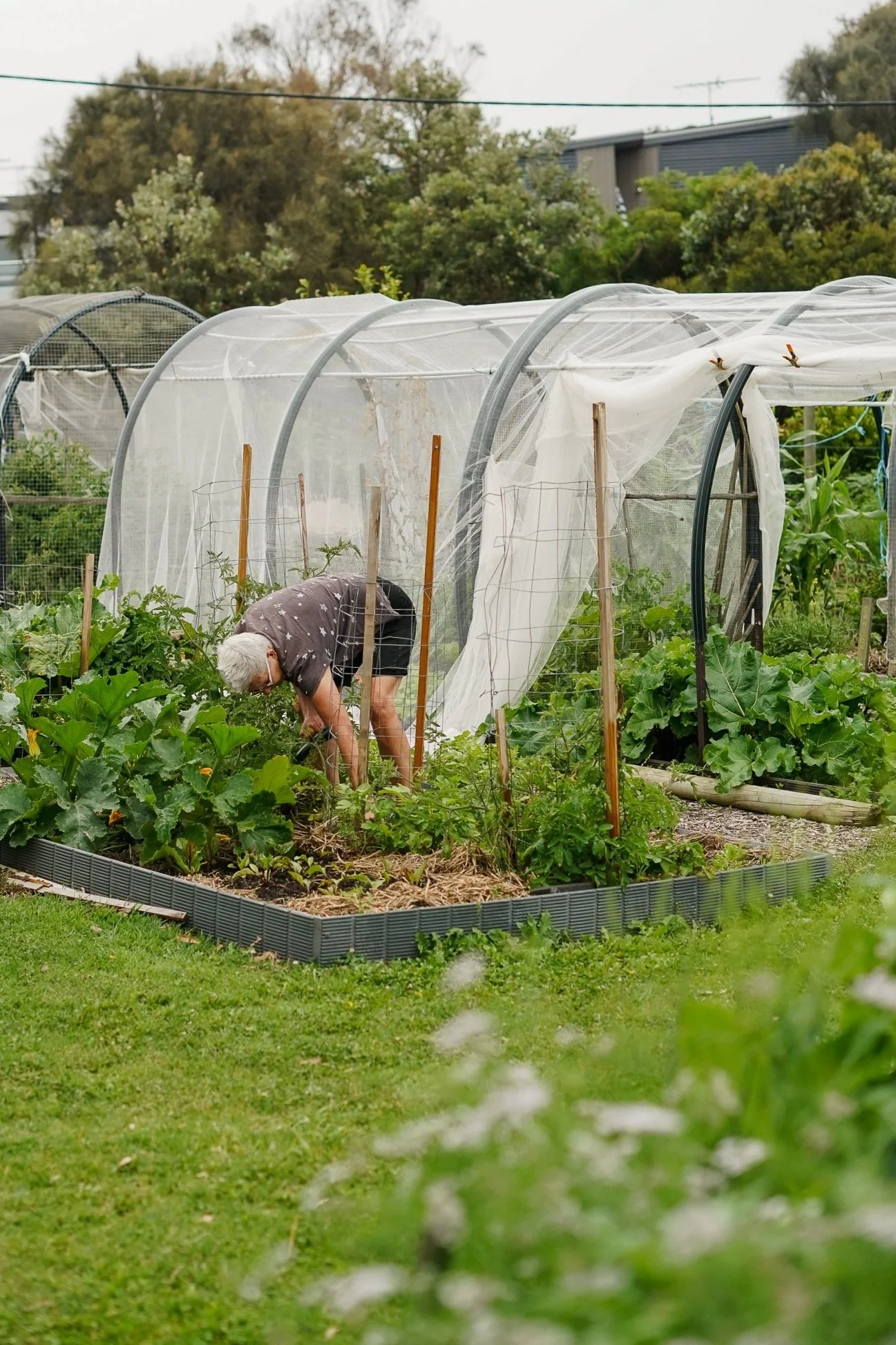 garden.jpg