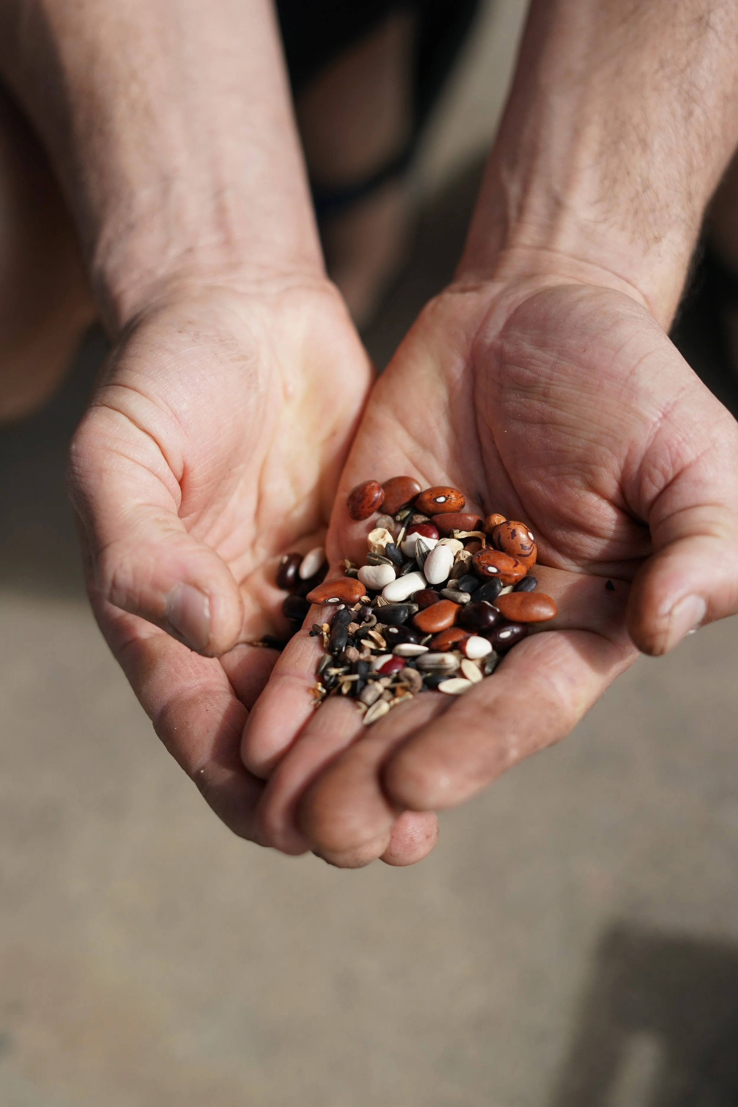 PACHAMAMA30AUG-20.jpg