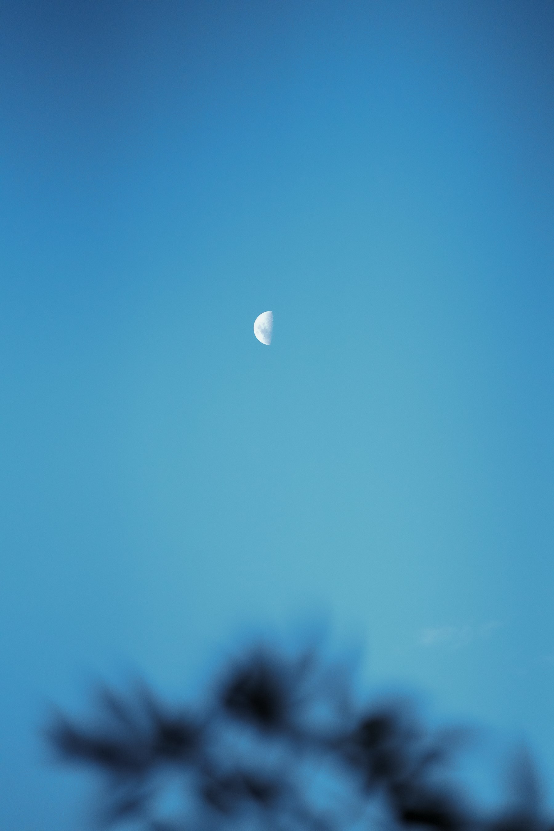 AOR_AUTUMN_WEB-494.jpg