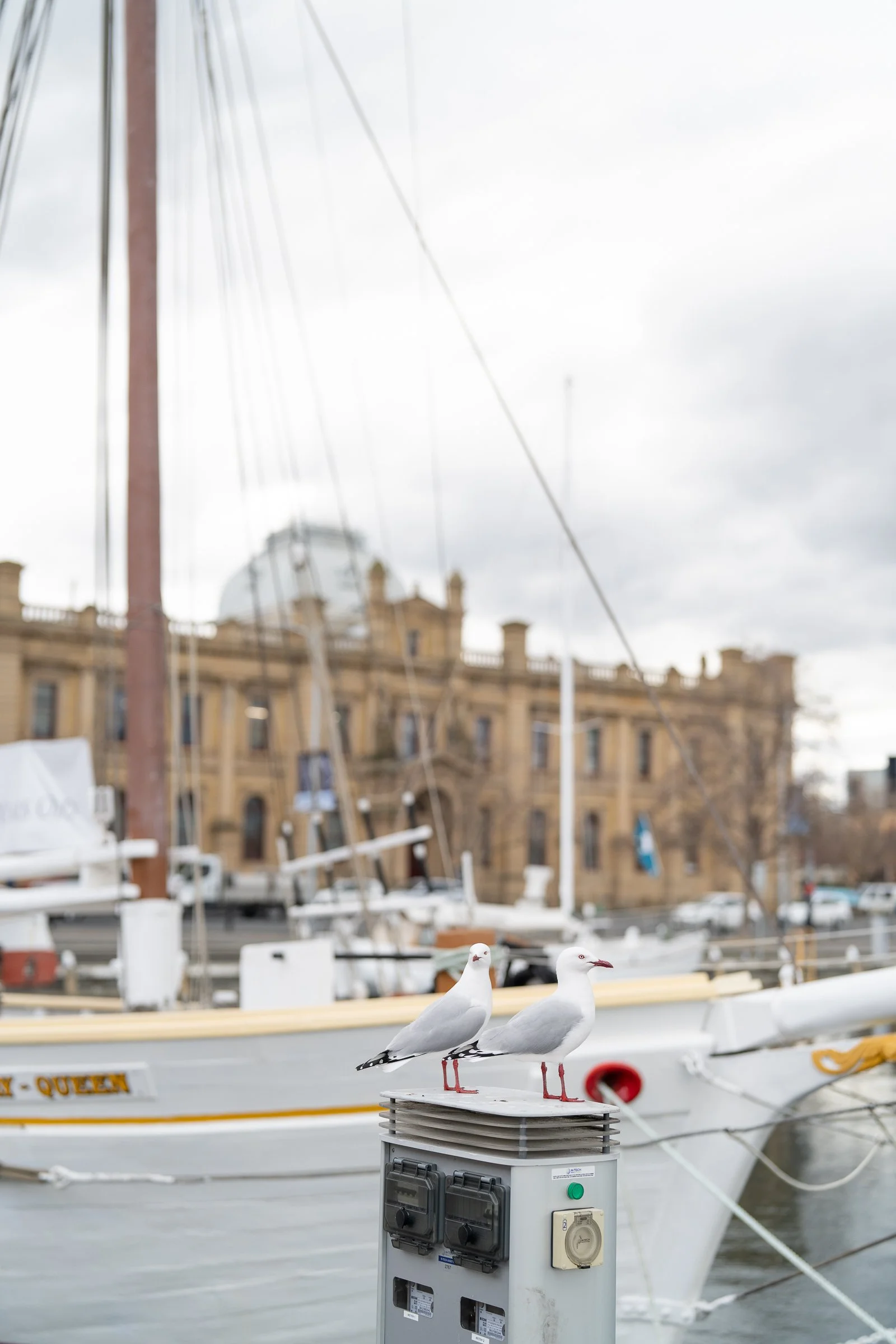 Tasmania-39.jpg