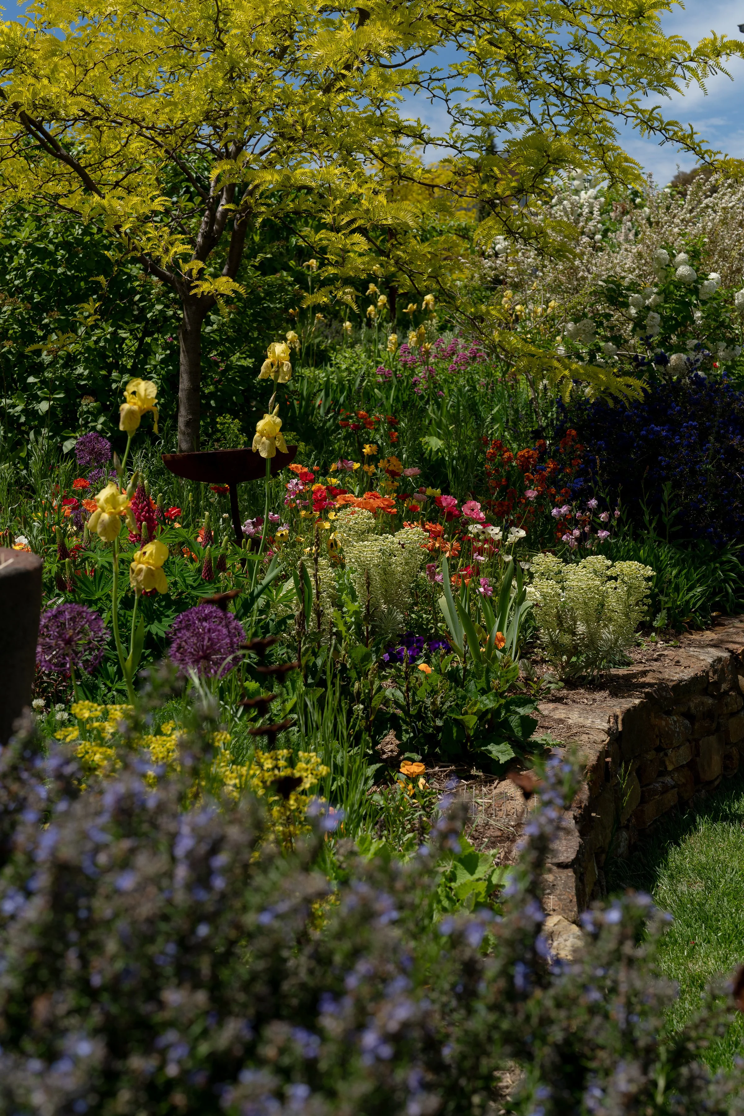 LITHIA_byAmberGardener-188.jpg