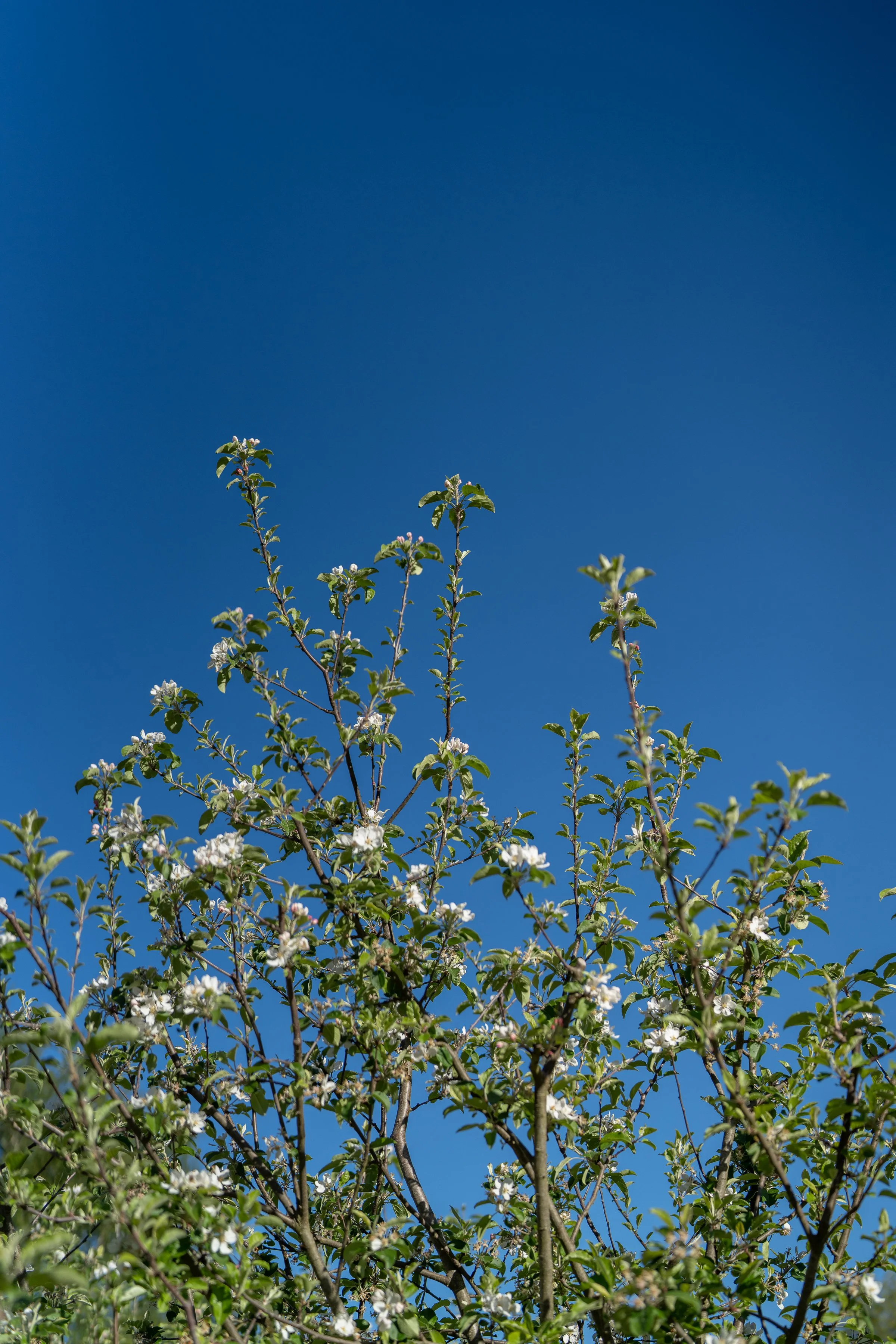 AOR_Oct_byAmberGardener-148.jpg