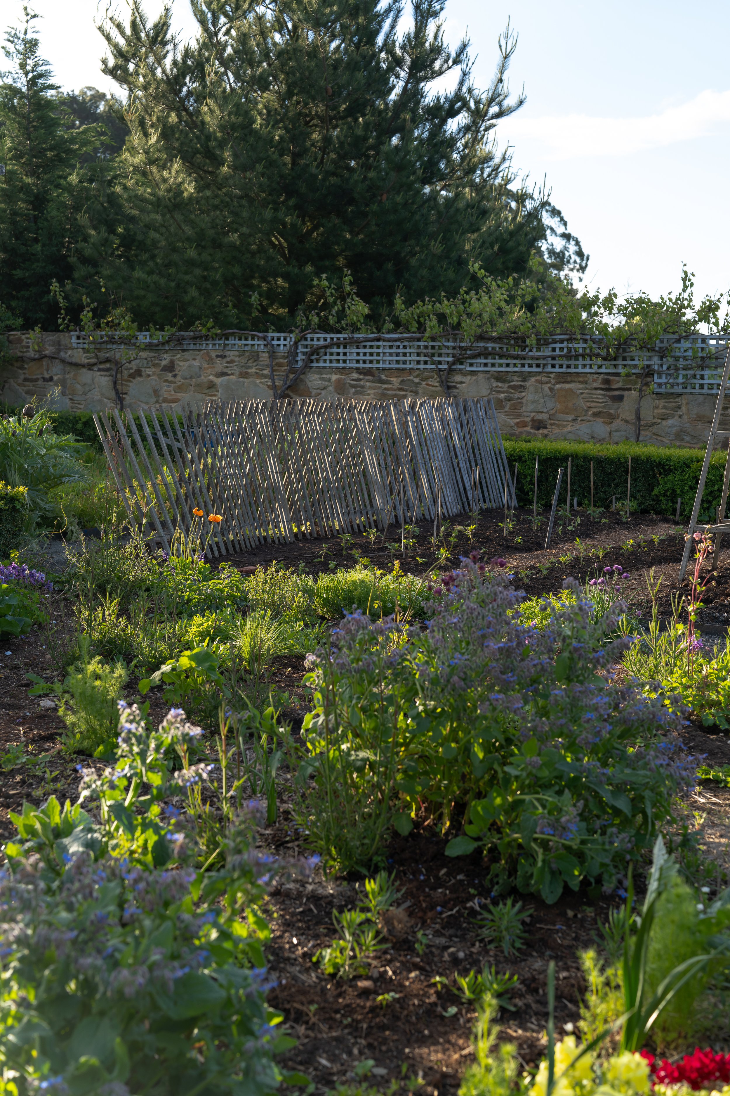 Stonewalls_byAmberGardener-252.jpg