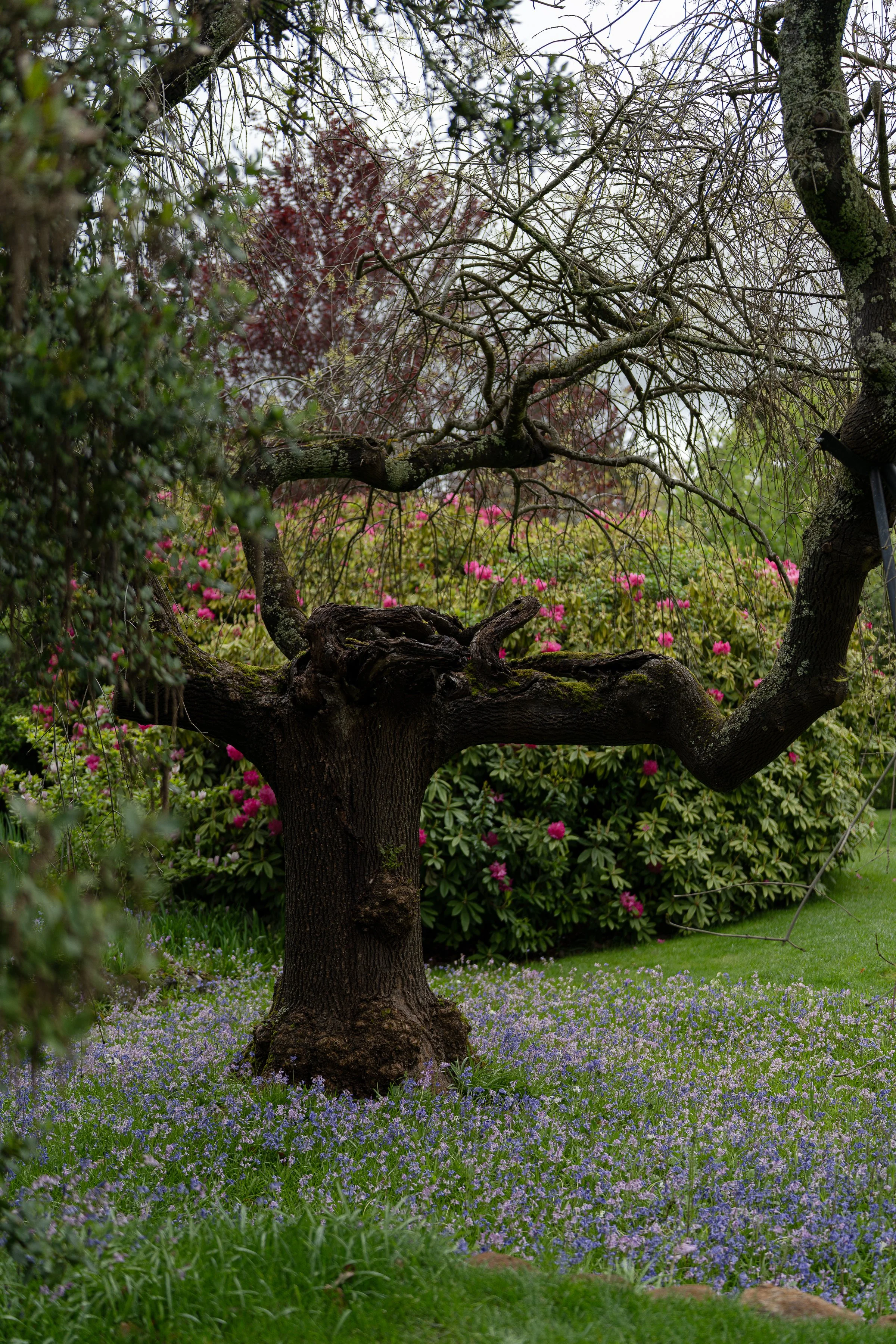 WOMBATPARKOPEN_byAmberGardener-031.jpg