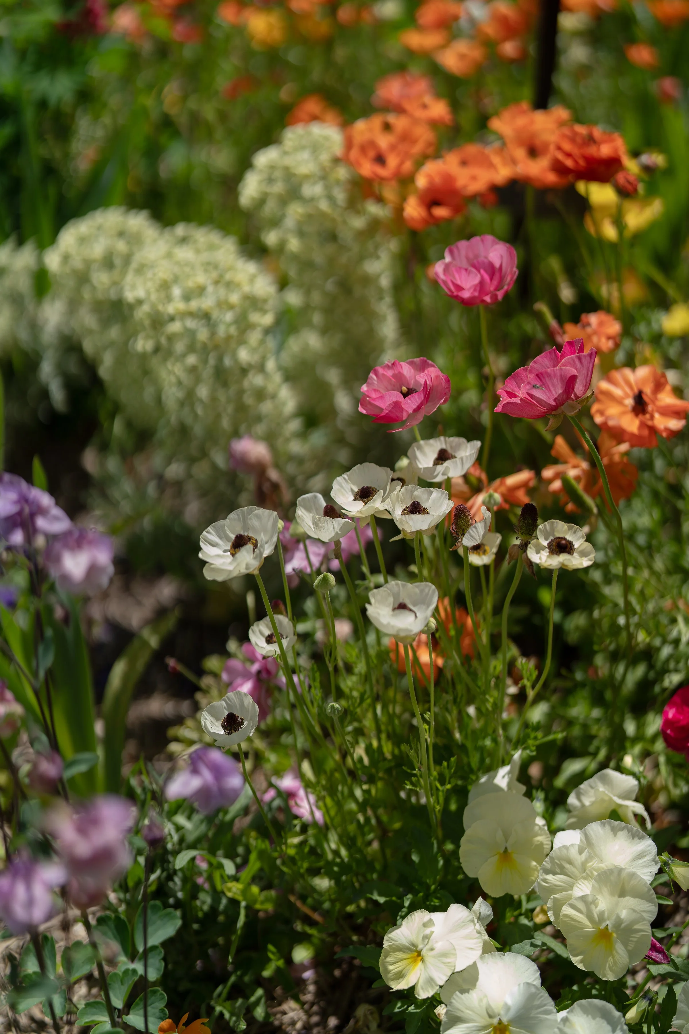 LITHIA_byAmberGardener-193.jpg