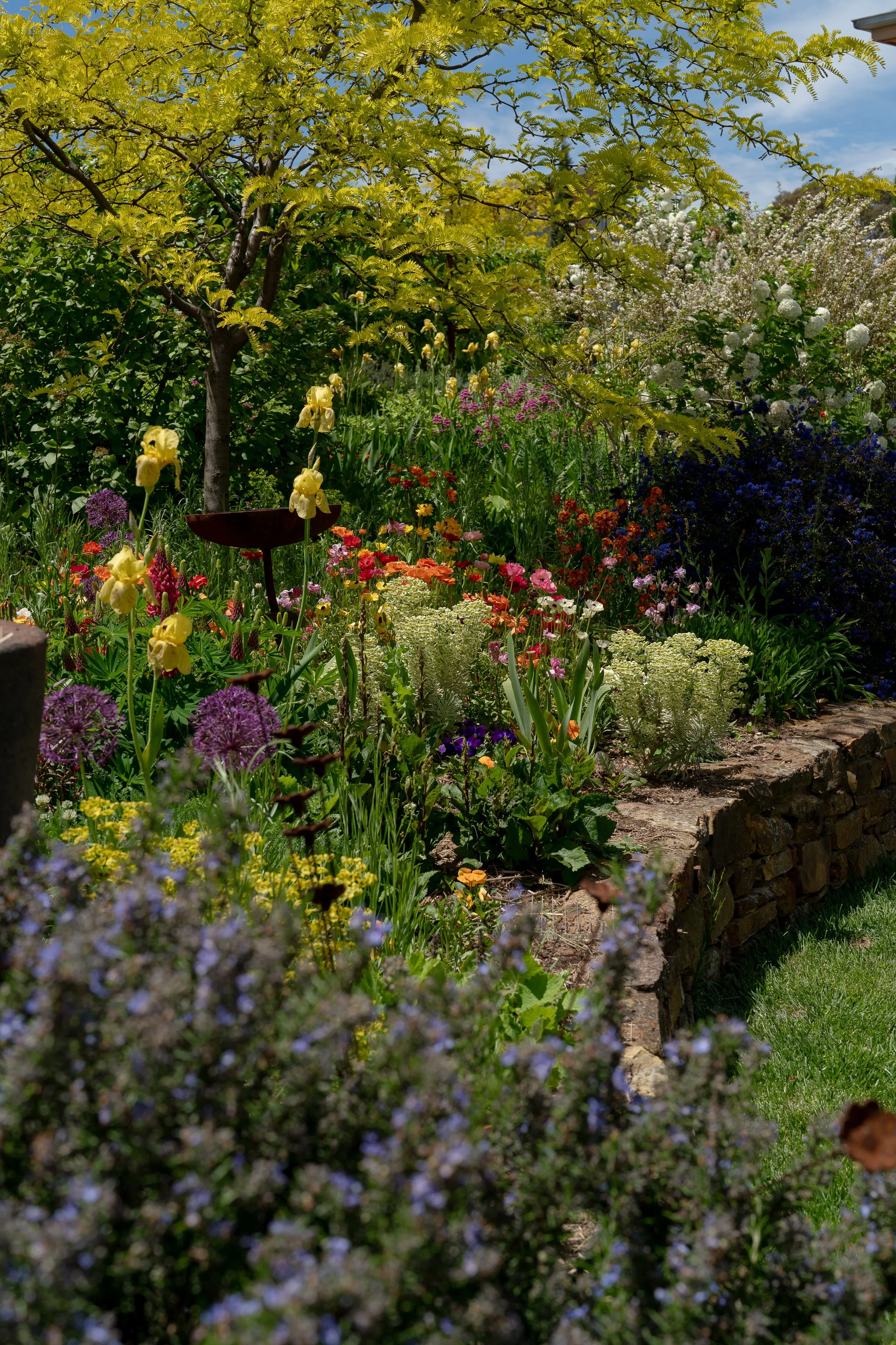 LITHIA_byAmberGardener-189.jpg