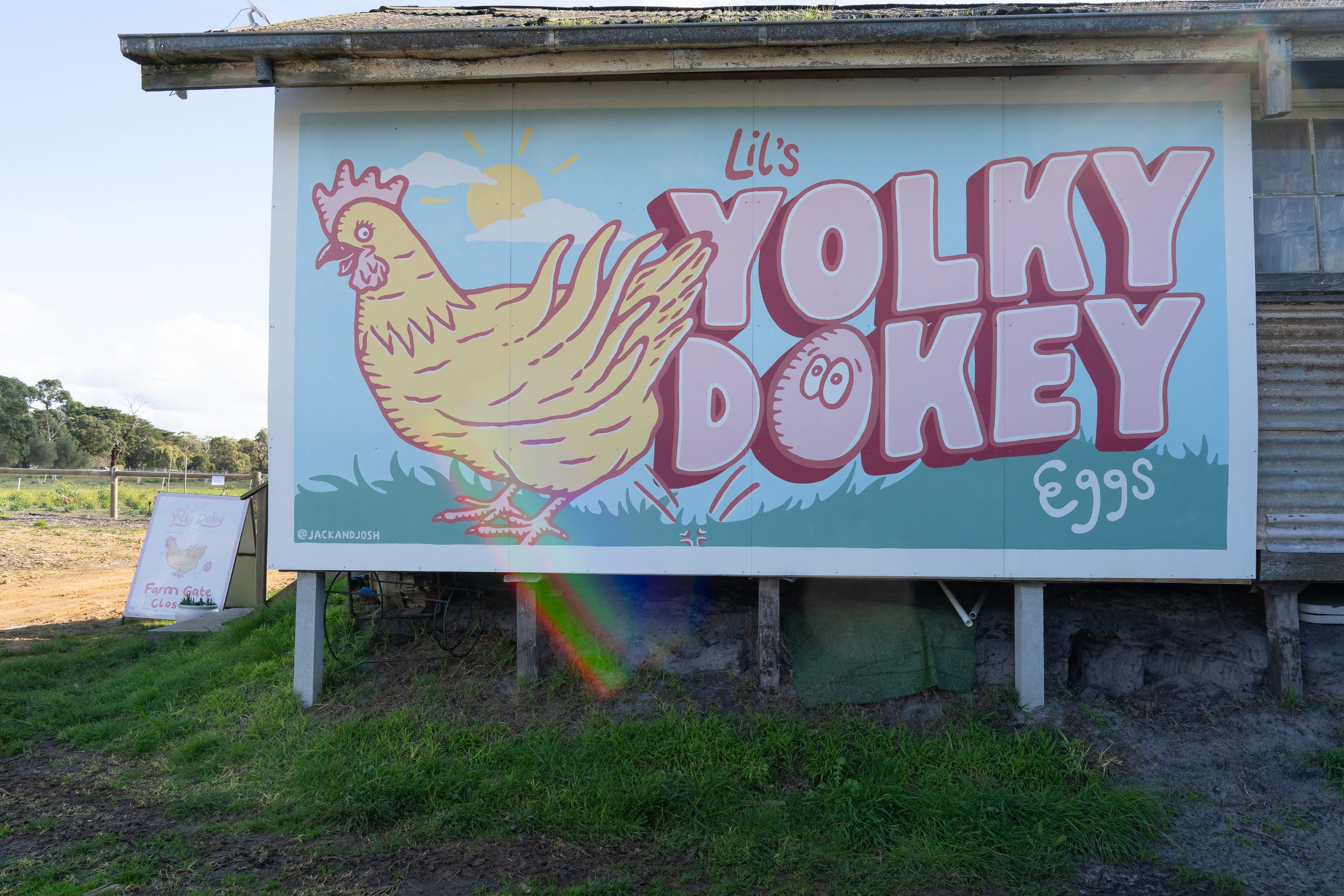 yolky-2.jpg