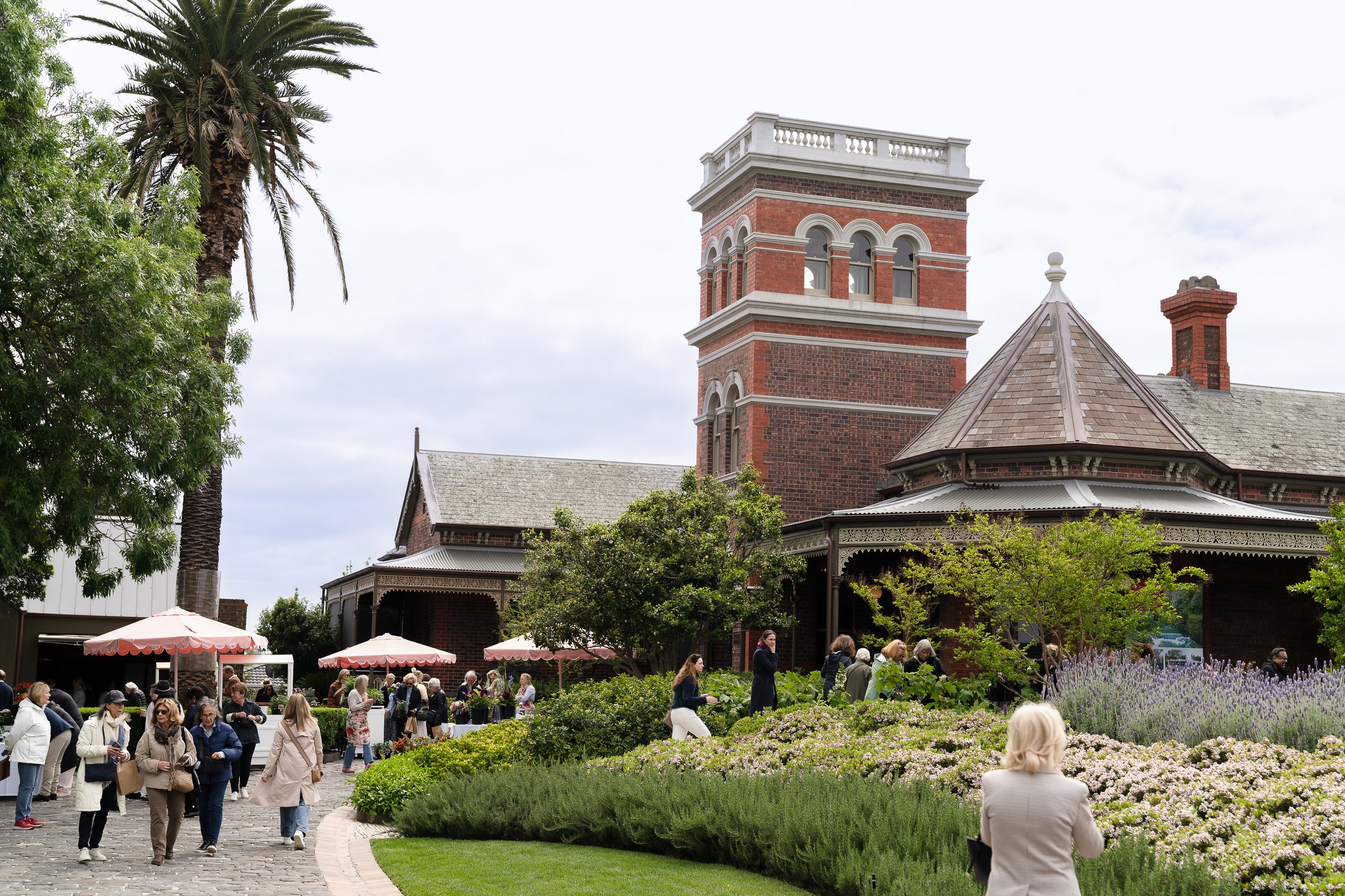 NGVWA 2025 Open Gardens