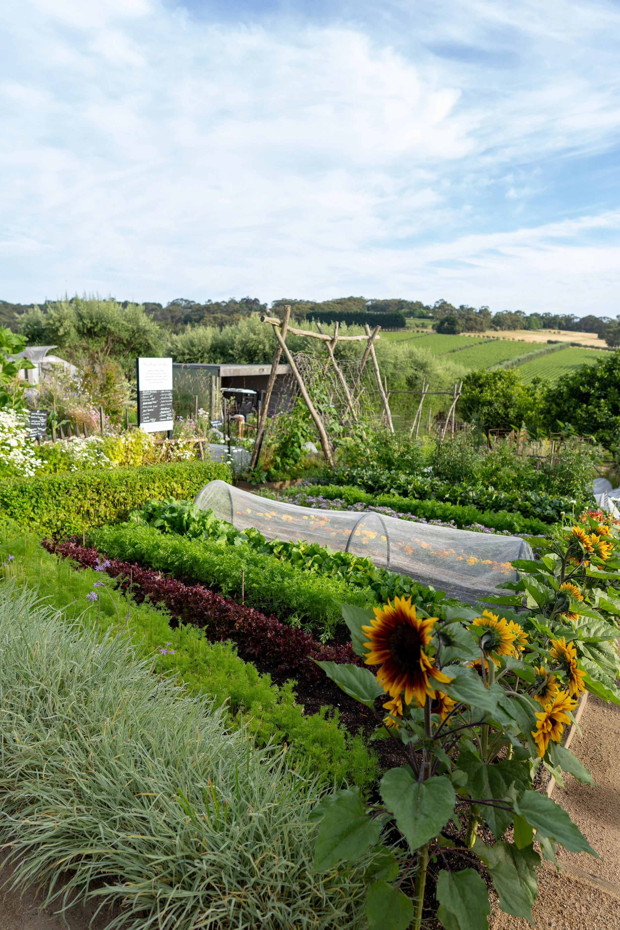 ©AmberGardener_KITCHENGARDEN-004.jpg