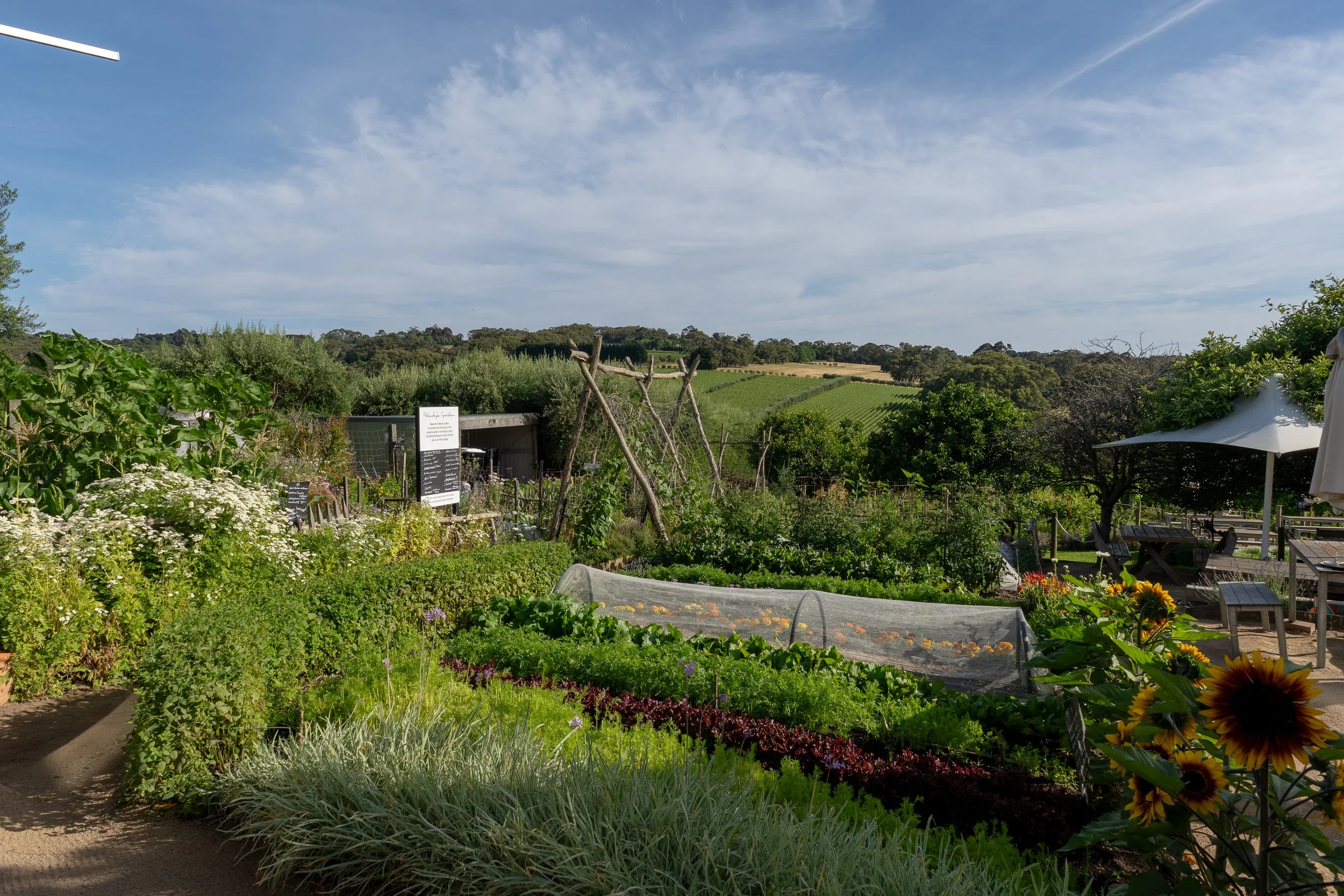 ©AmberGardener_KITCHENGARDEN-231.jpg