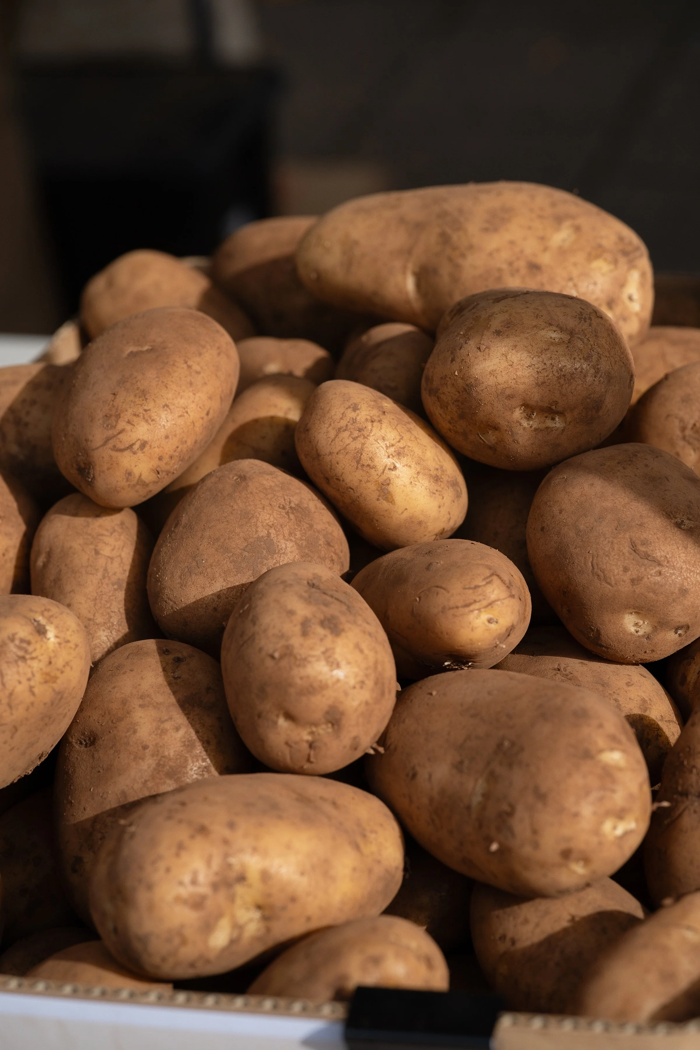 SPUDFEST_AMBERGARDENER-006.jpg