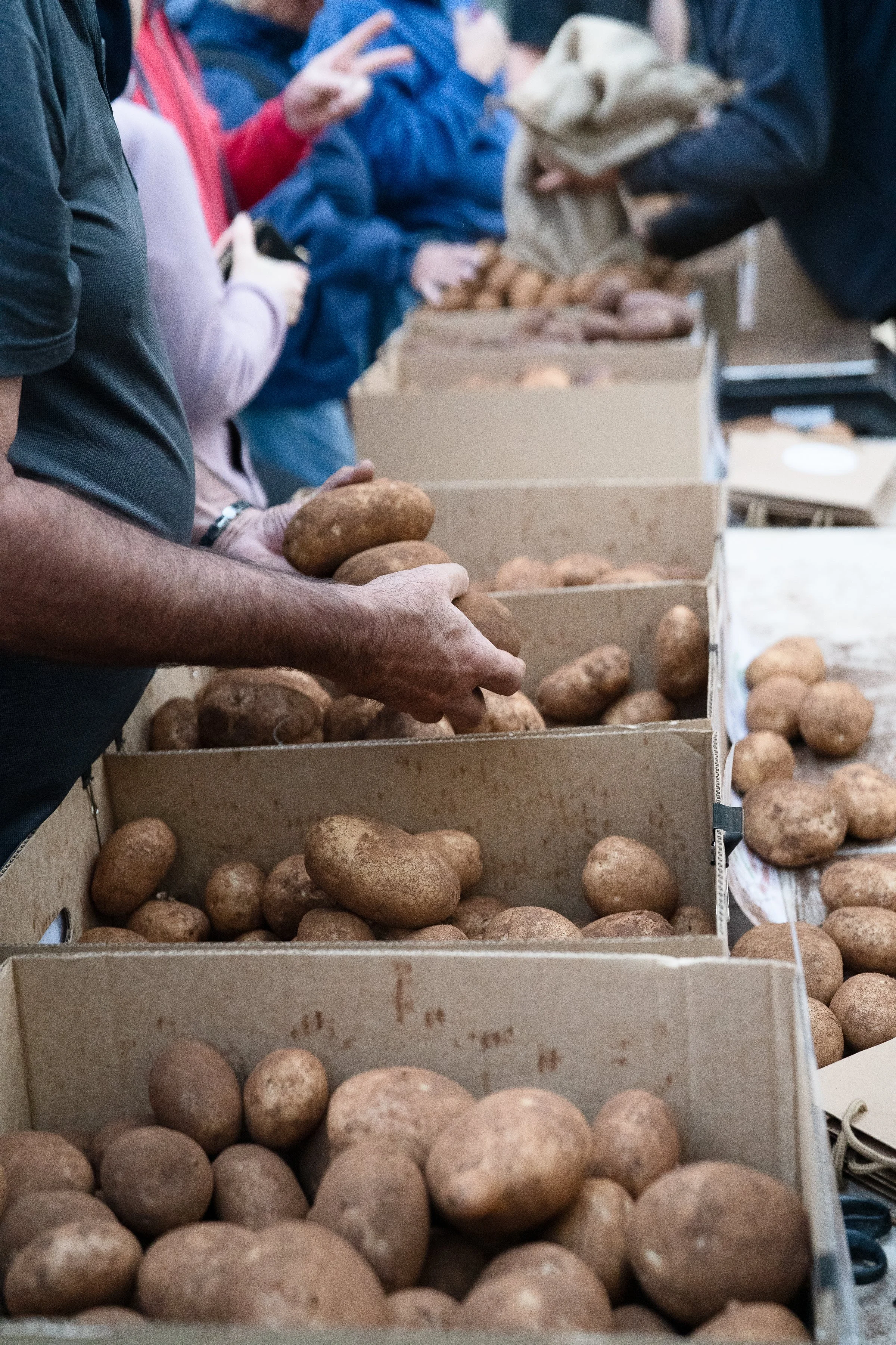 SPUDFEST_AMBERGARDENER-088.jpg