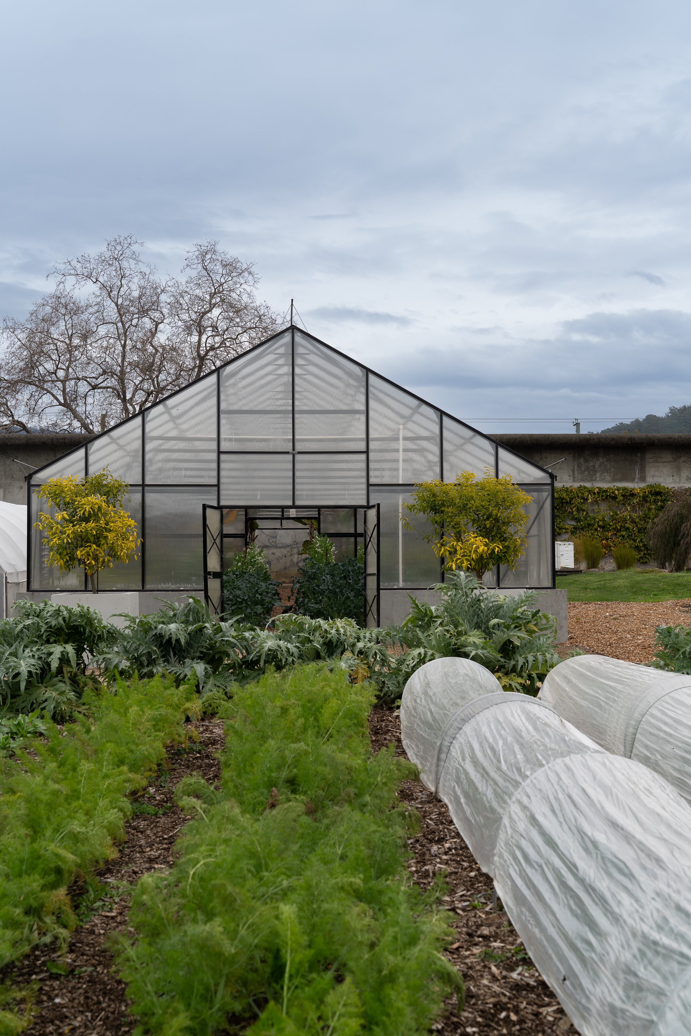 AGRARIANKITCHEN_ByAmberGardener@itsnaturalight-042.jpg