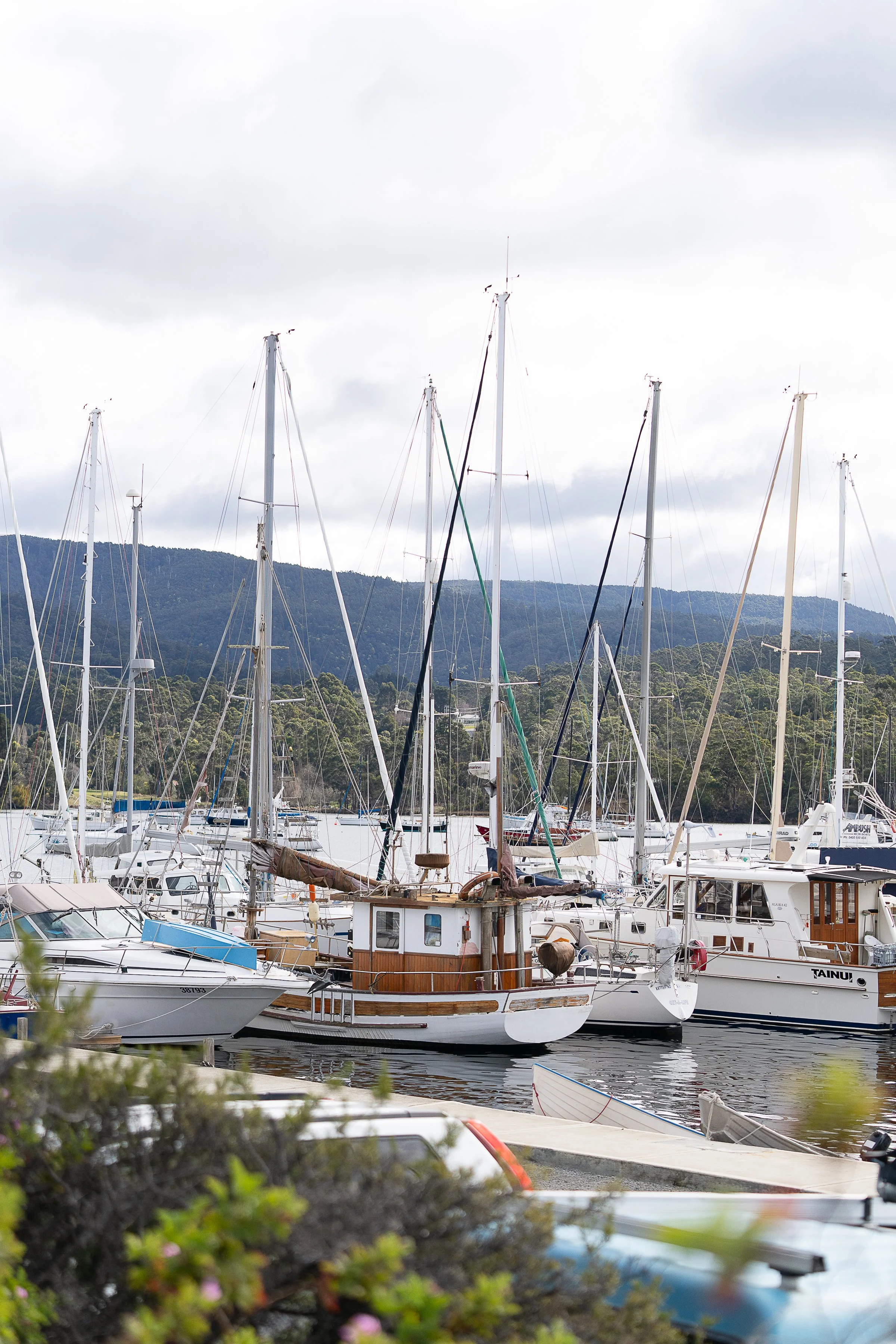 boats-01.jpg