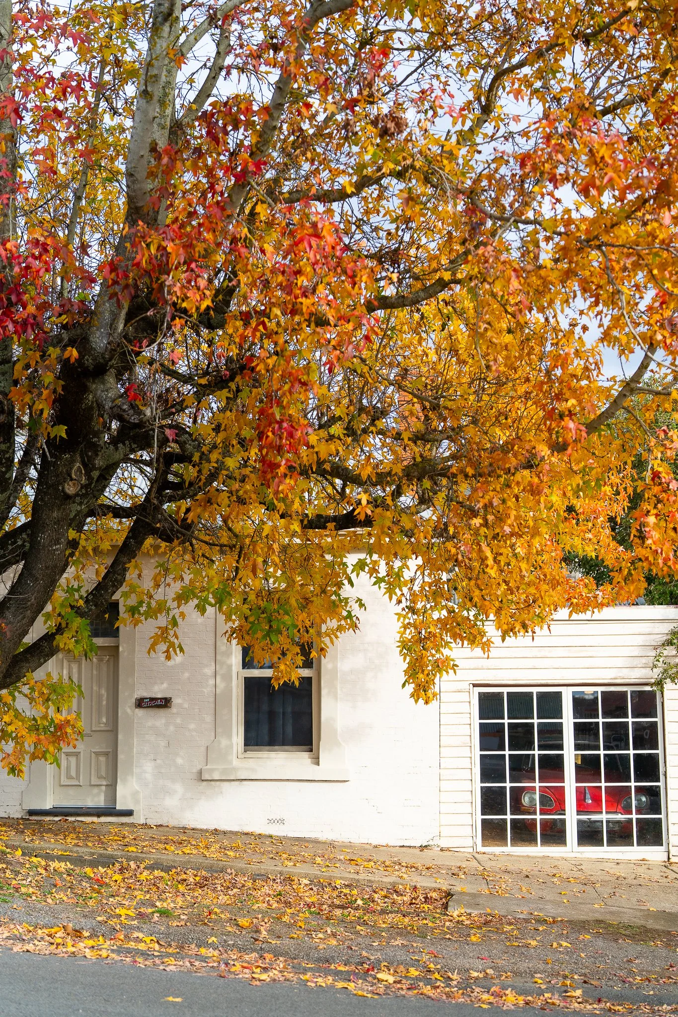 daylesford_ferris-1.jpg