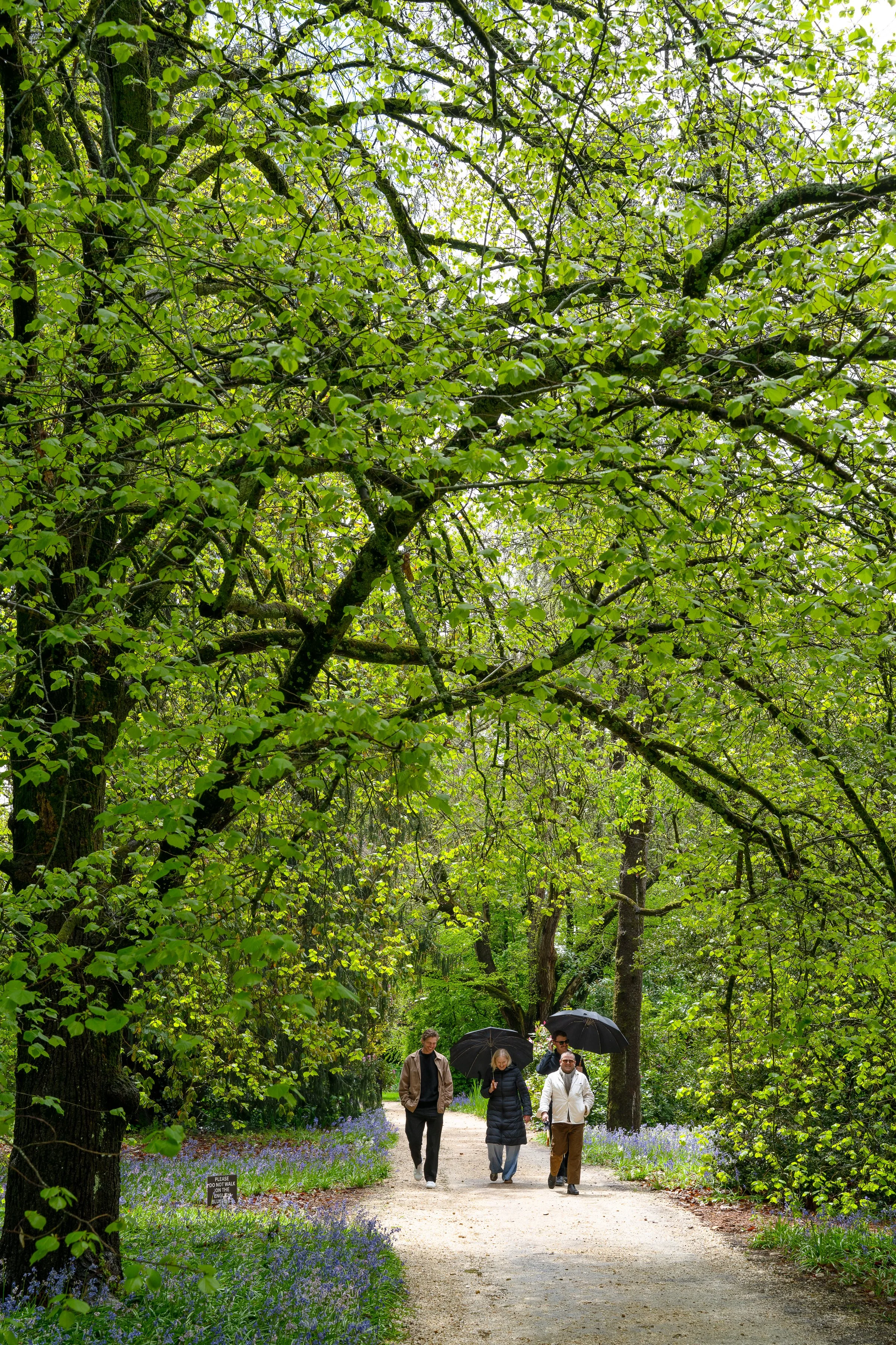 WOMBATPARKOPEN_byAmberGardener-169.jpg