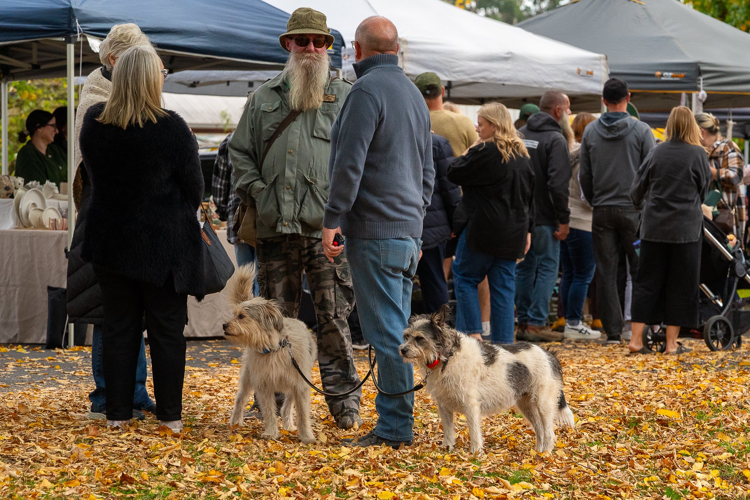 spudfest_ambergardener-04.jpg