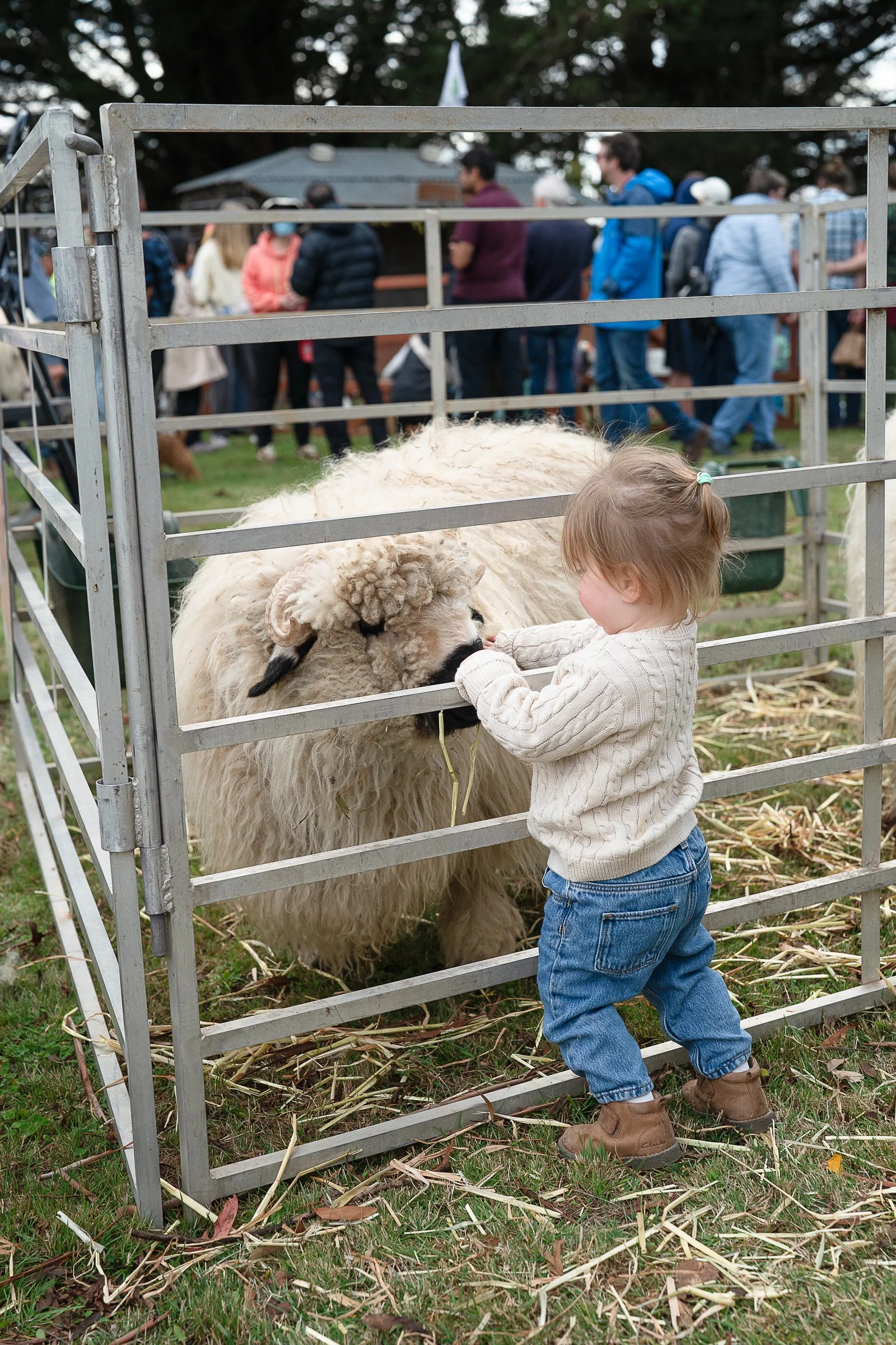spudfest_ambergardener-10.jpg