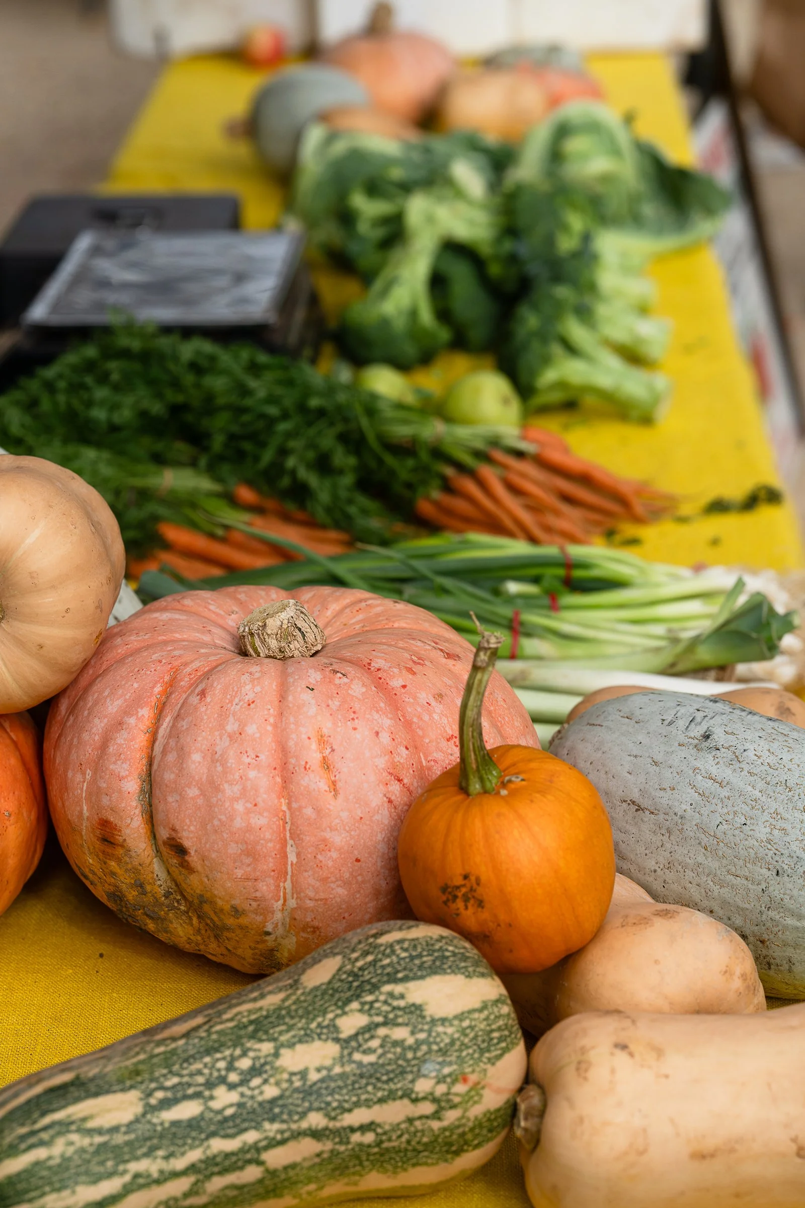 spudfest_ambergardener-55.jpg