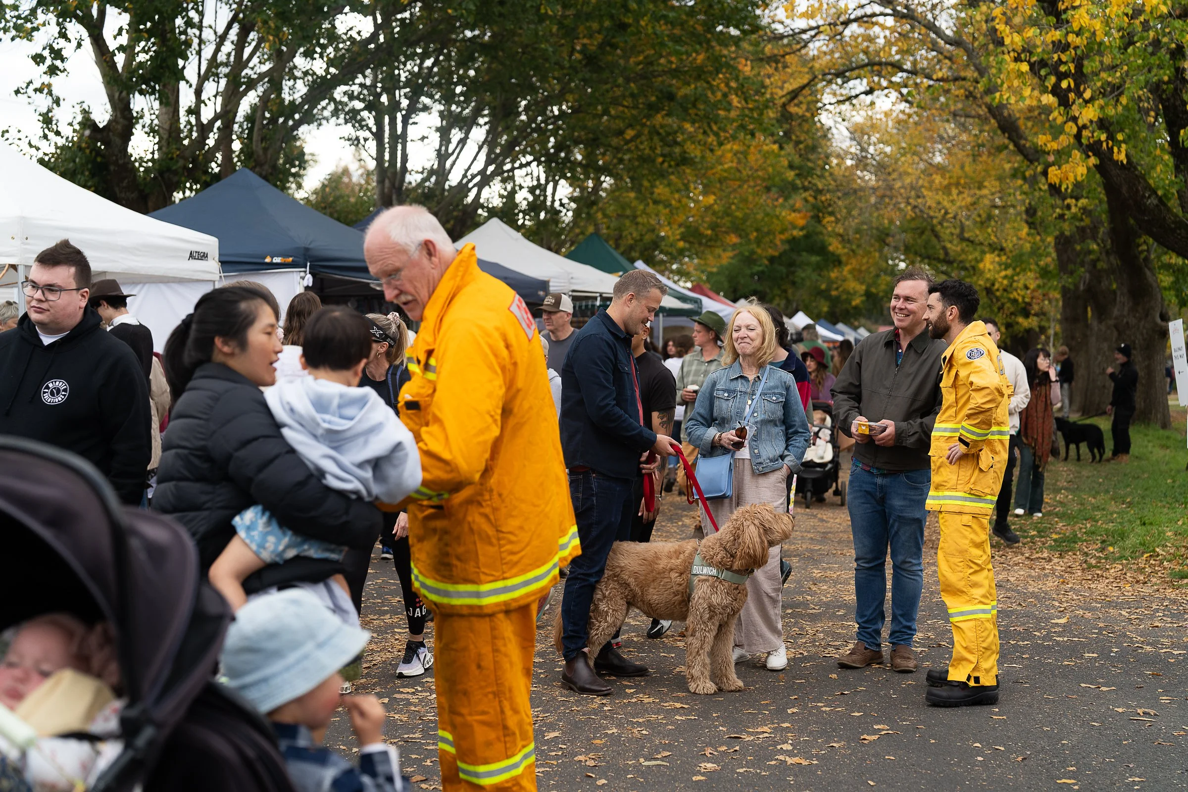 spudfest_ambergardener-73.jpg