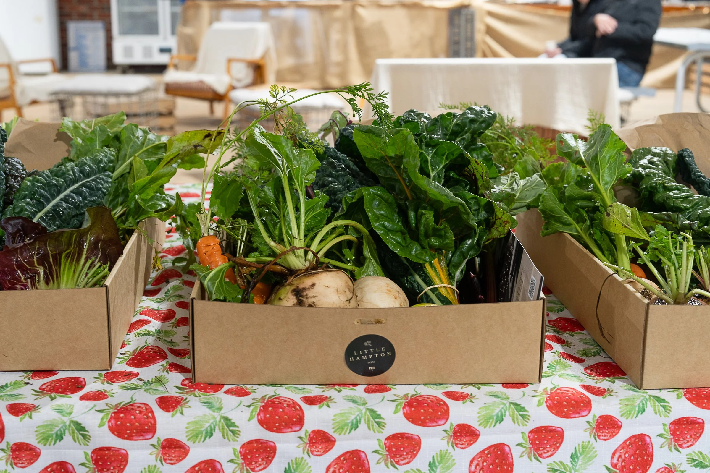 spudfest_ambergardener-91.jpg