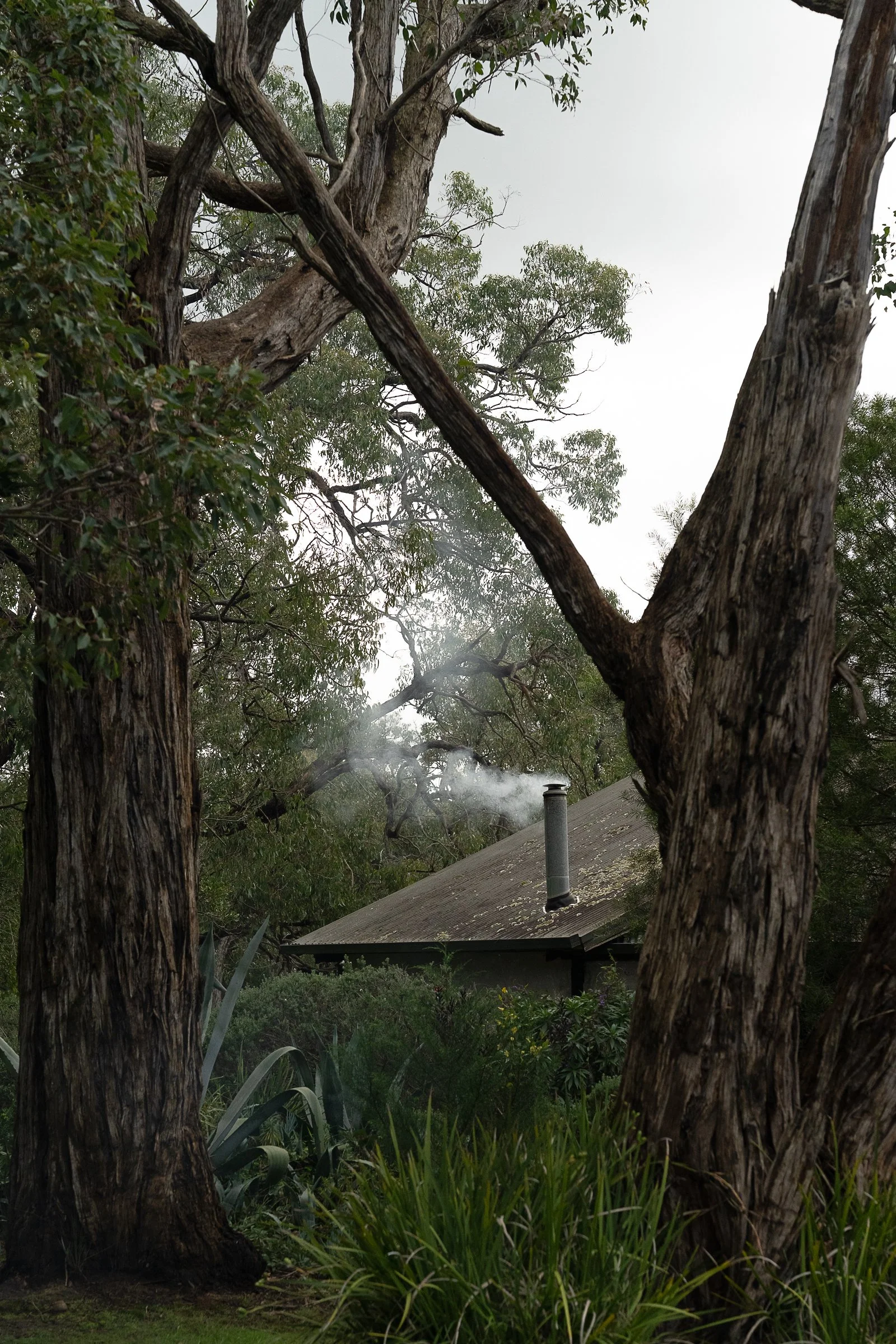 southernseagreens-099.jpg