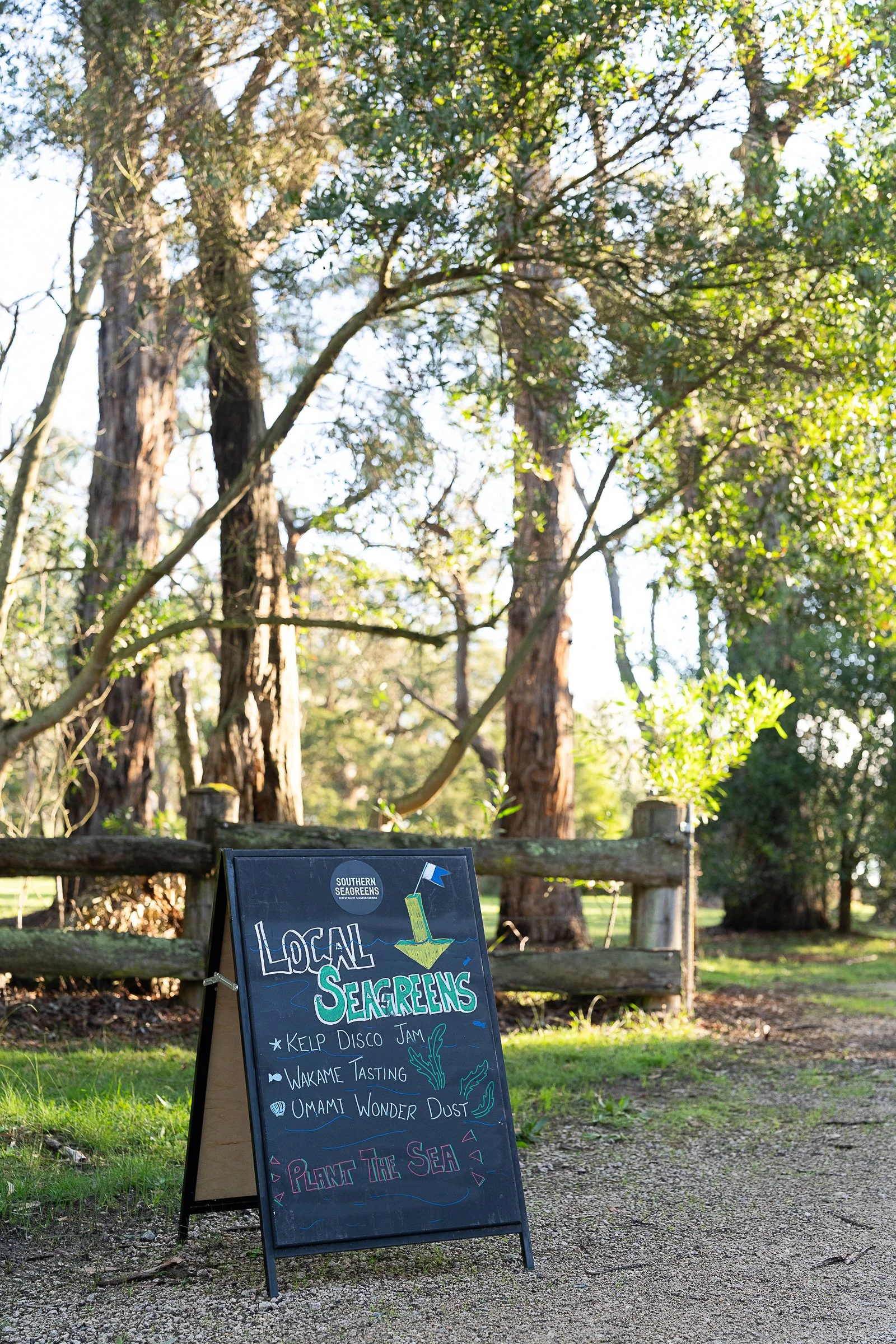 southernseagreens-134.jpg