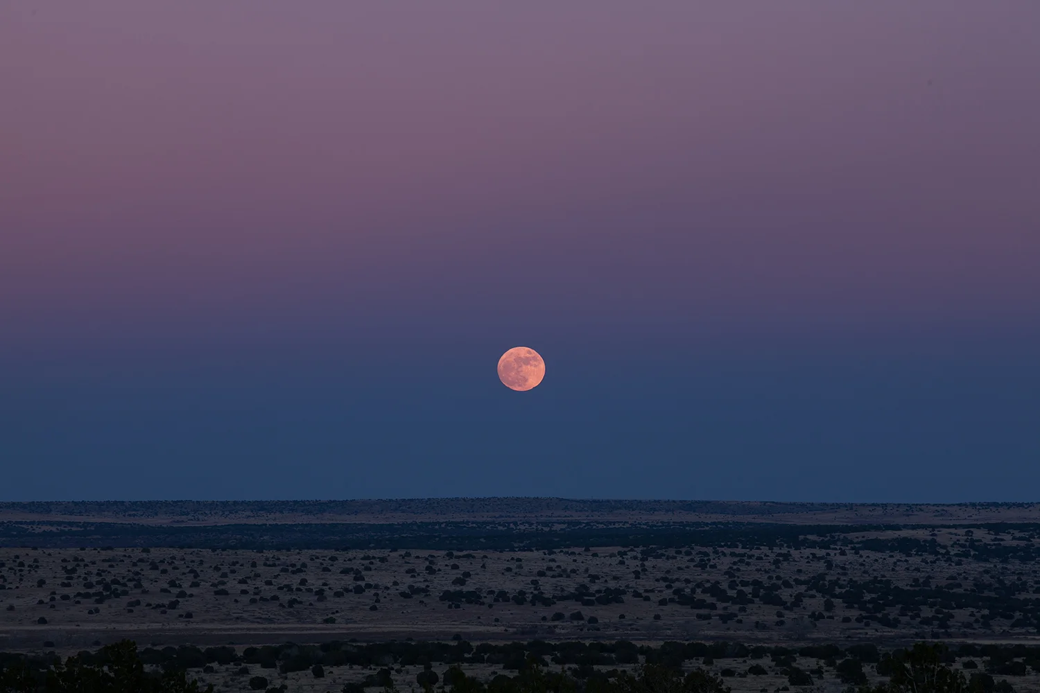 newmexicomoon.jpg