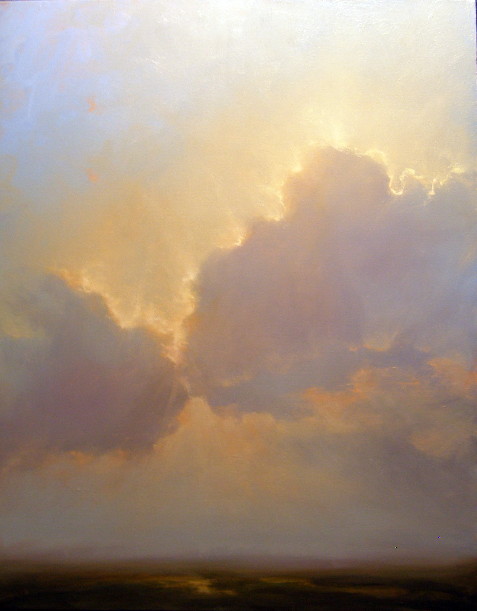   I’m a painter. I use the sky in my paintings as a metaphor for consciousness and approach painting clouds very much the same way as I would if I were painting someone's portrait. Clouds are in constant motion, always changing form and evolving, alw
