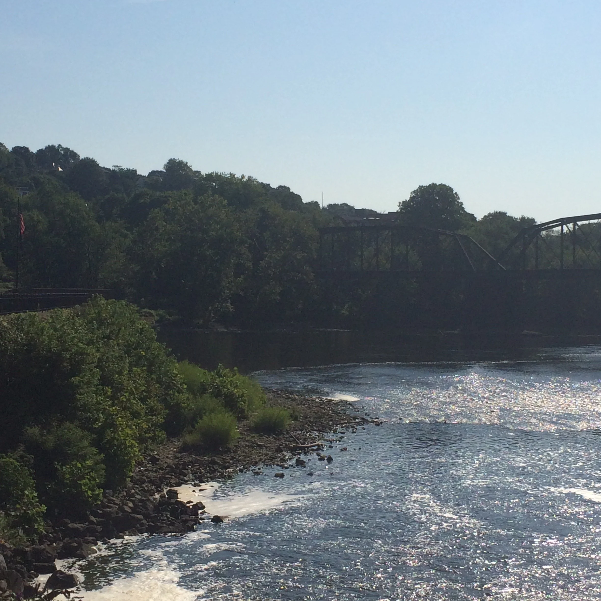 Scott Park from the perch over the falls