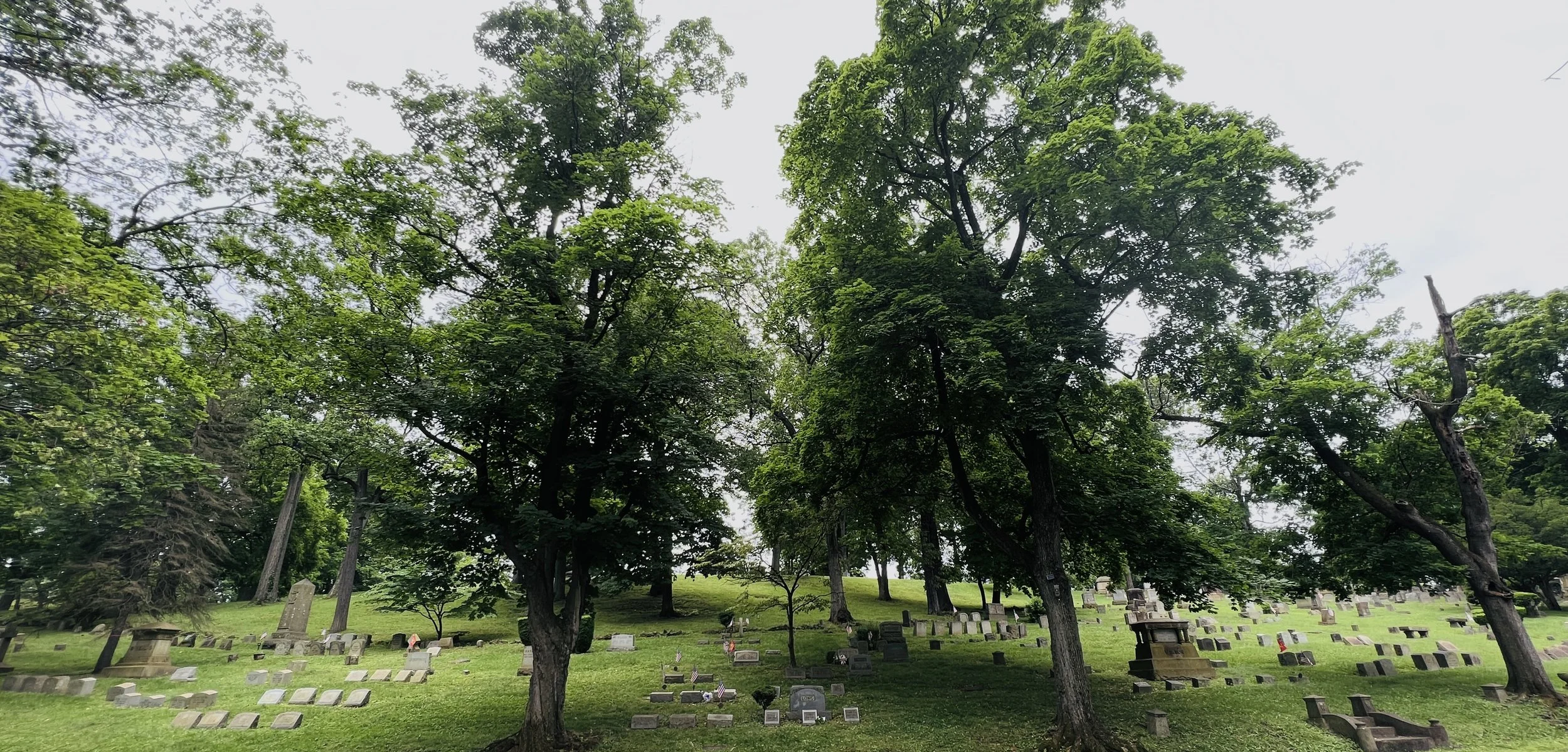 Easton Cemetery path