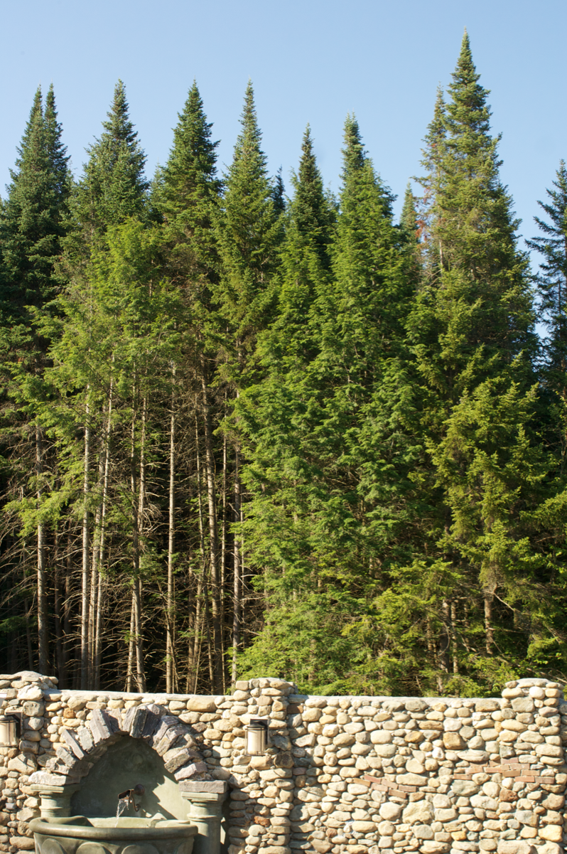 chap_fount_trees.png