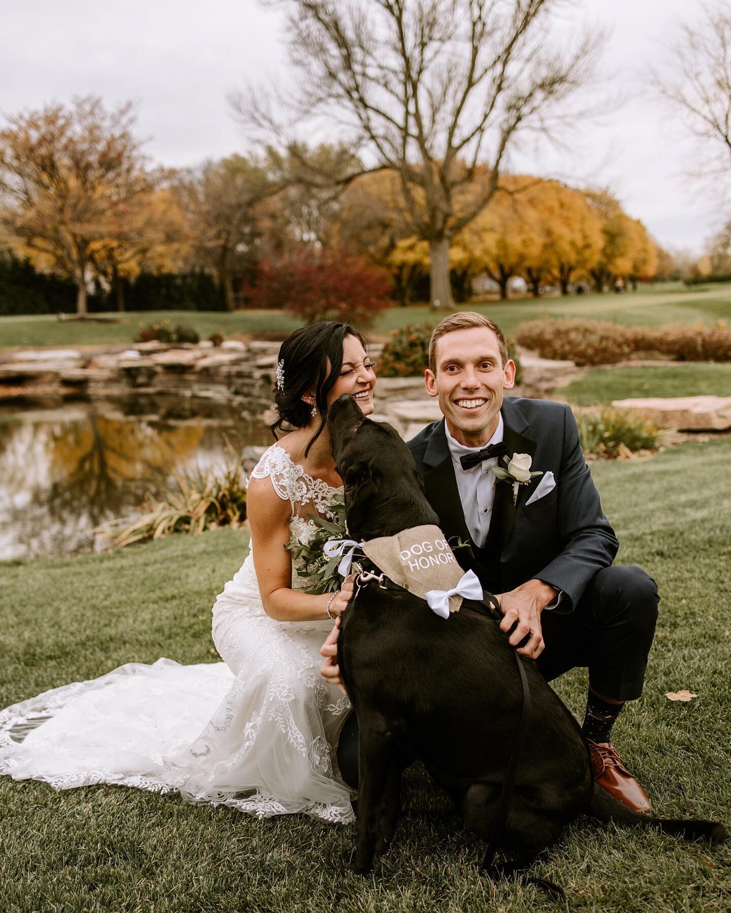 The sweetest kisses 🐶 

Something about #fallinchicago is so dang magical! I&rsquo;ll be going capture (and celebrate!) some very special days in September &amp; October &mdash; so if you want to book your family/couples session HMU soon! 🥰

#chica