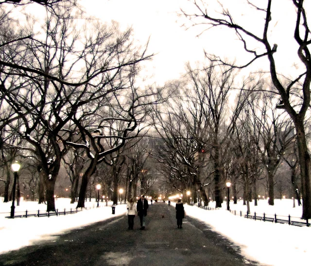 Life in a frozen metropolis