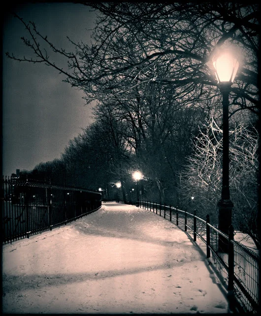 Life and death in the city that never sleeps