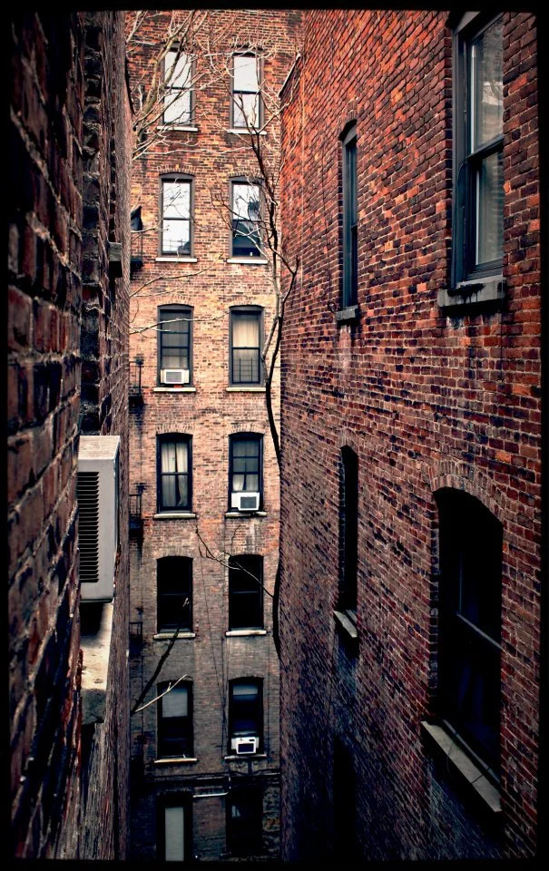 The Persistence of Memory