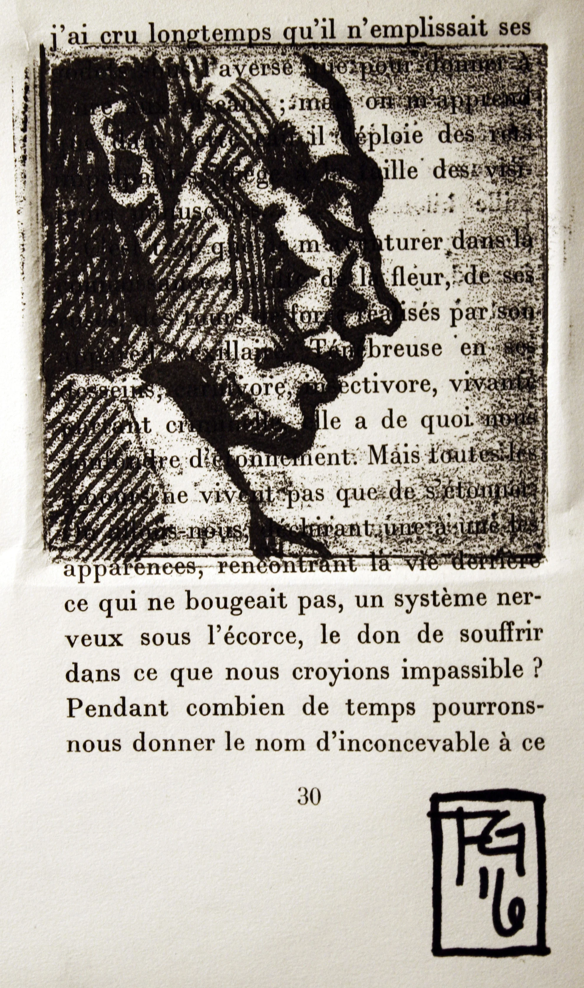 Book Print2.jpg