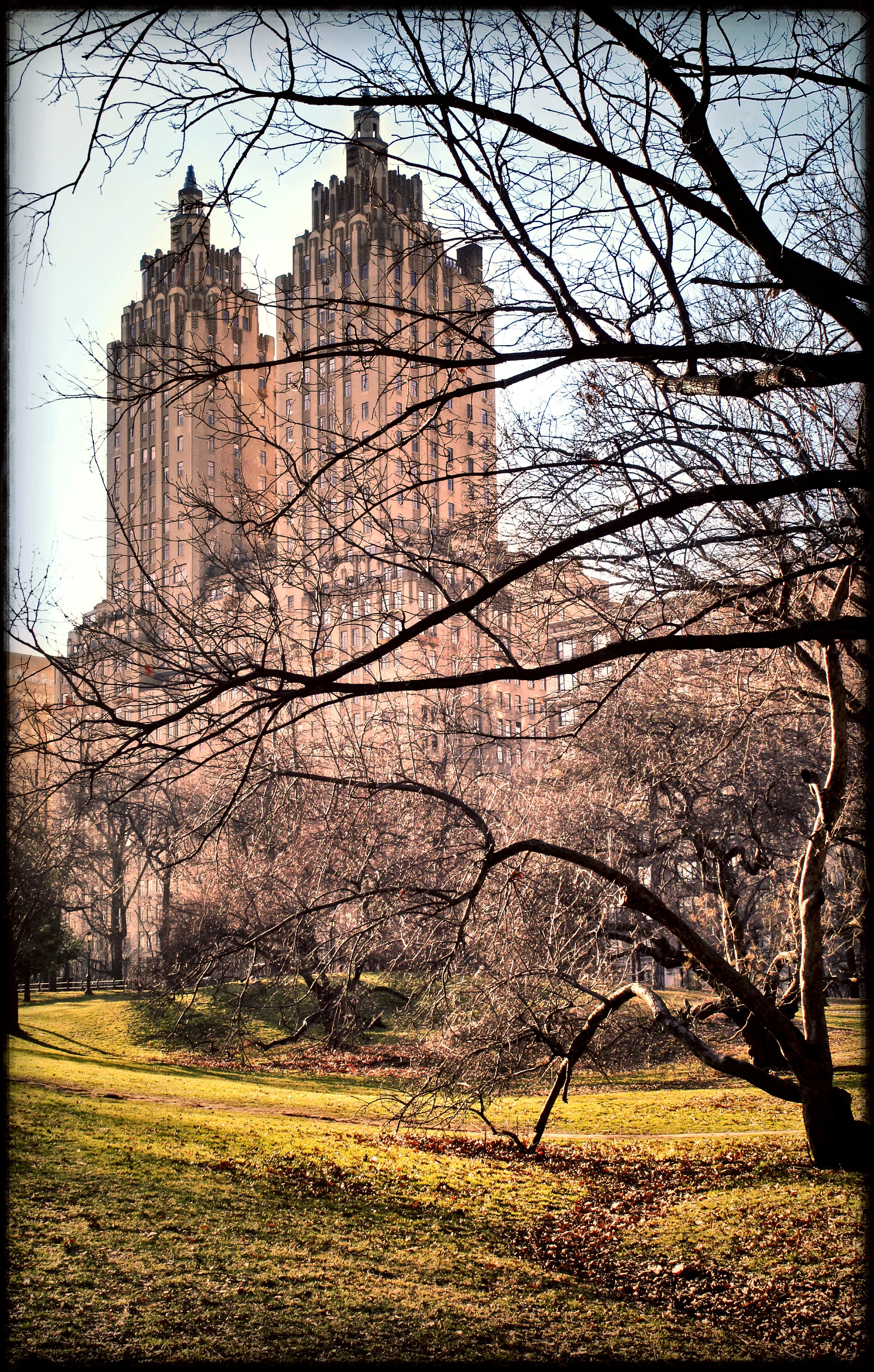 CentralPark4.3.jpg
