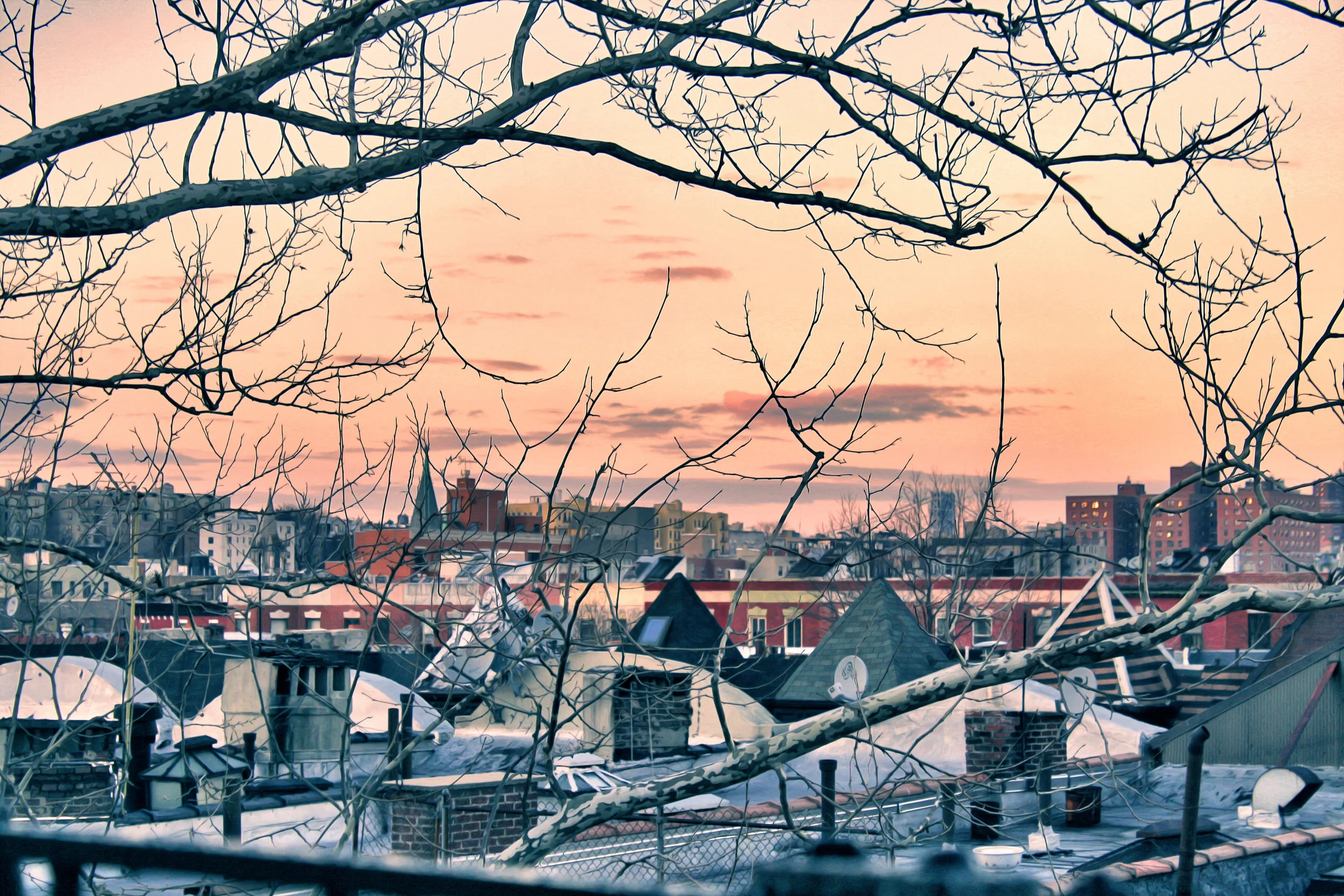 window4.jpg