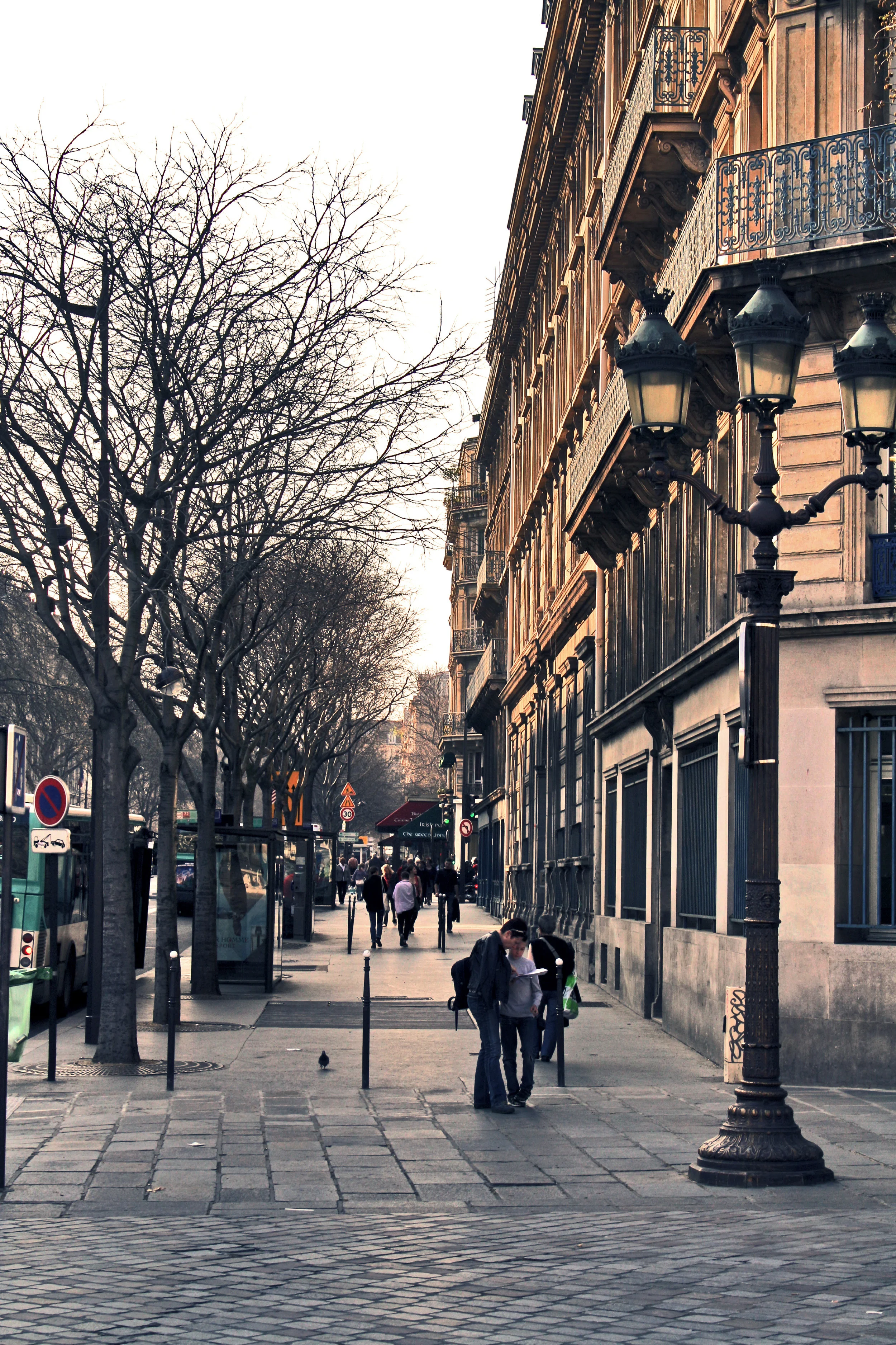 Paris8.jpg