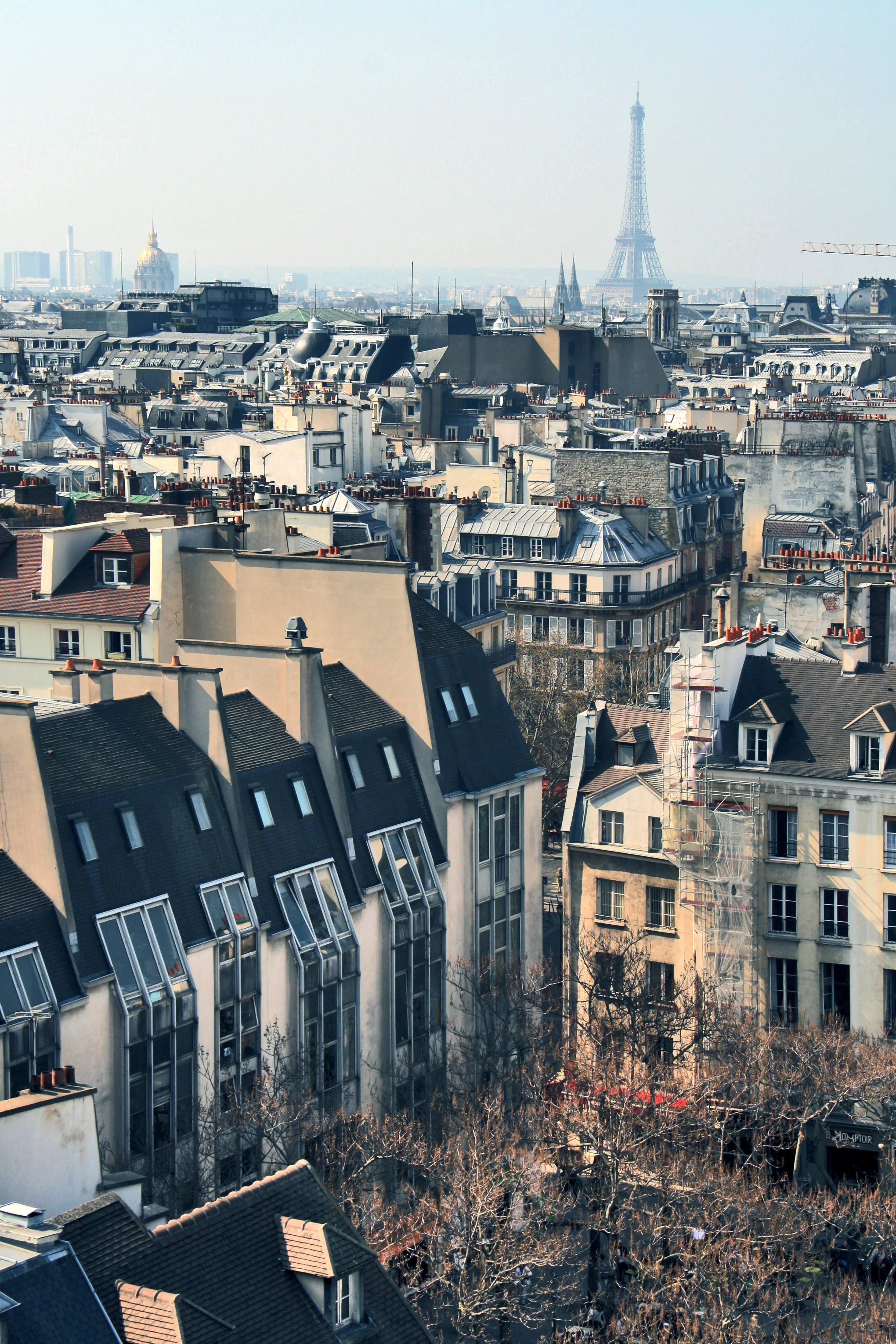 Paris8.jpg