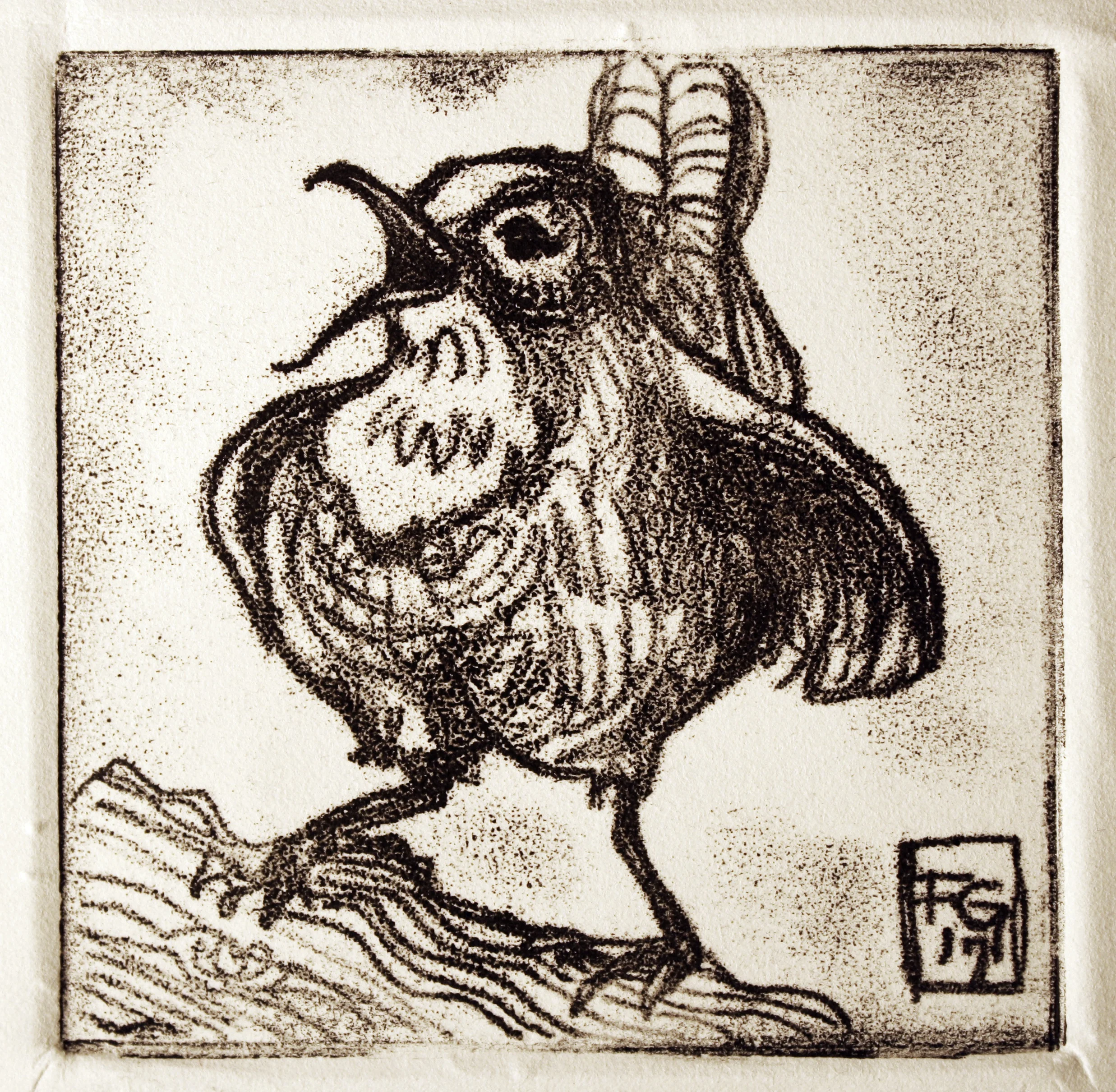 Wren2.jpg